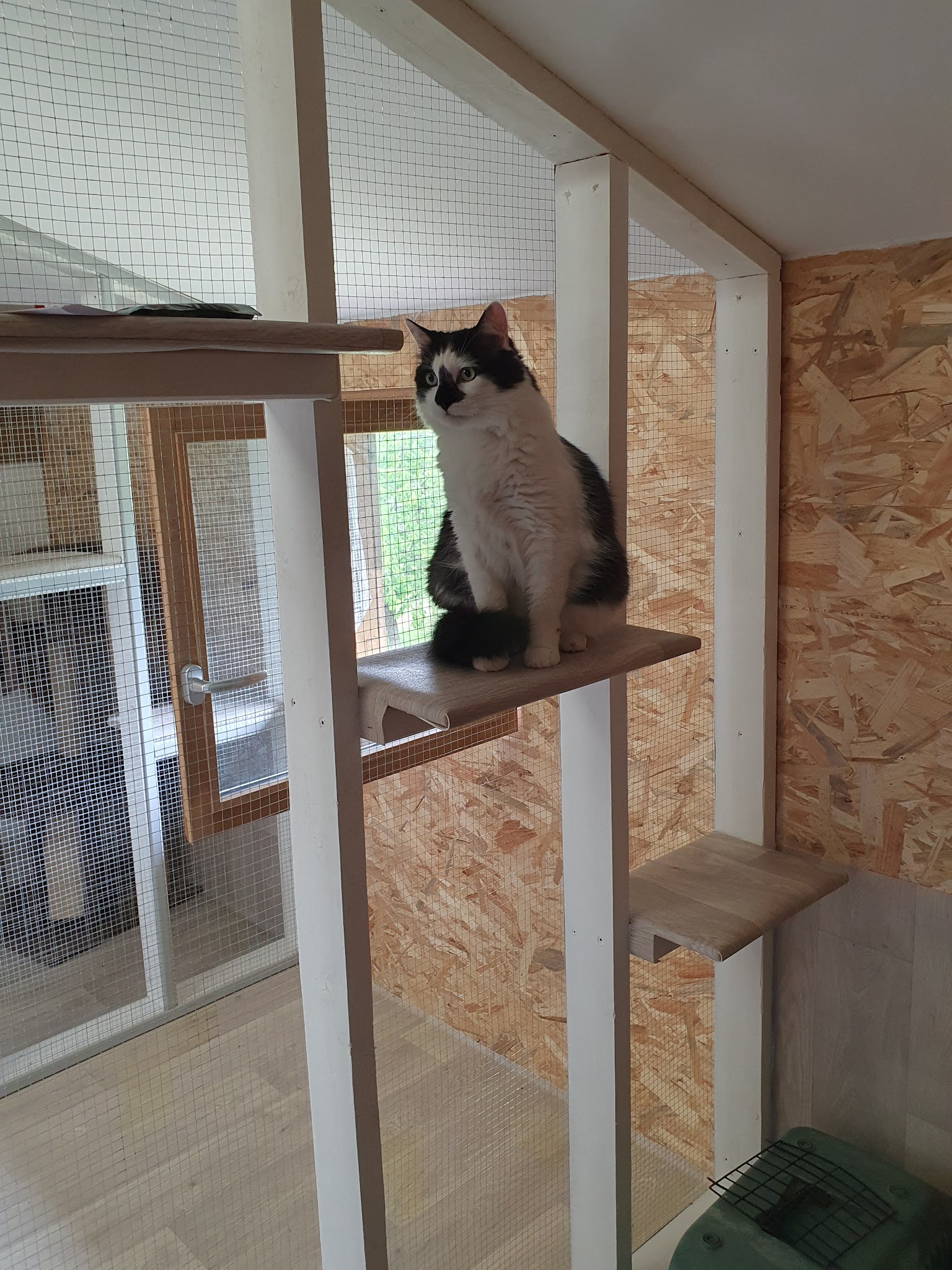 Le Chalet des 4 pattes du Lary — photo