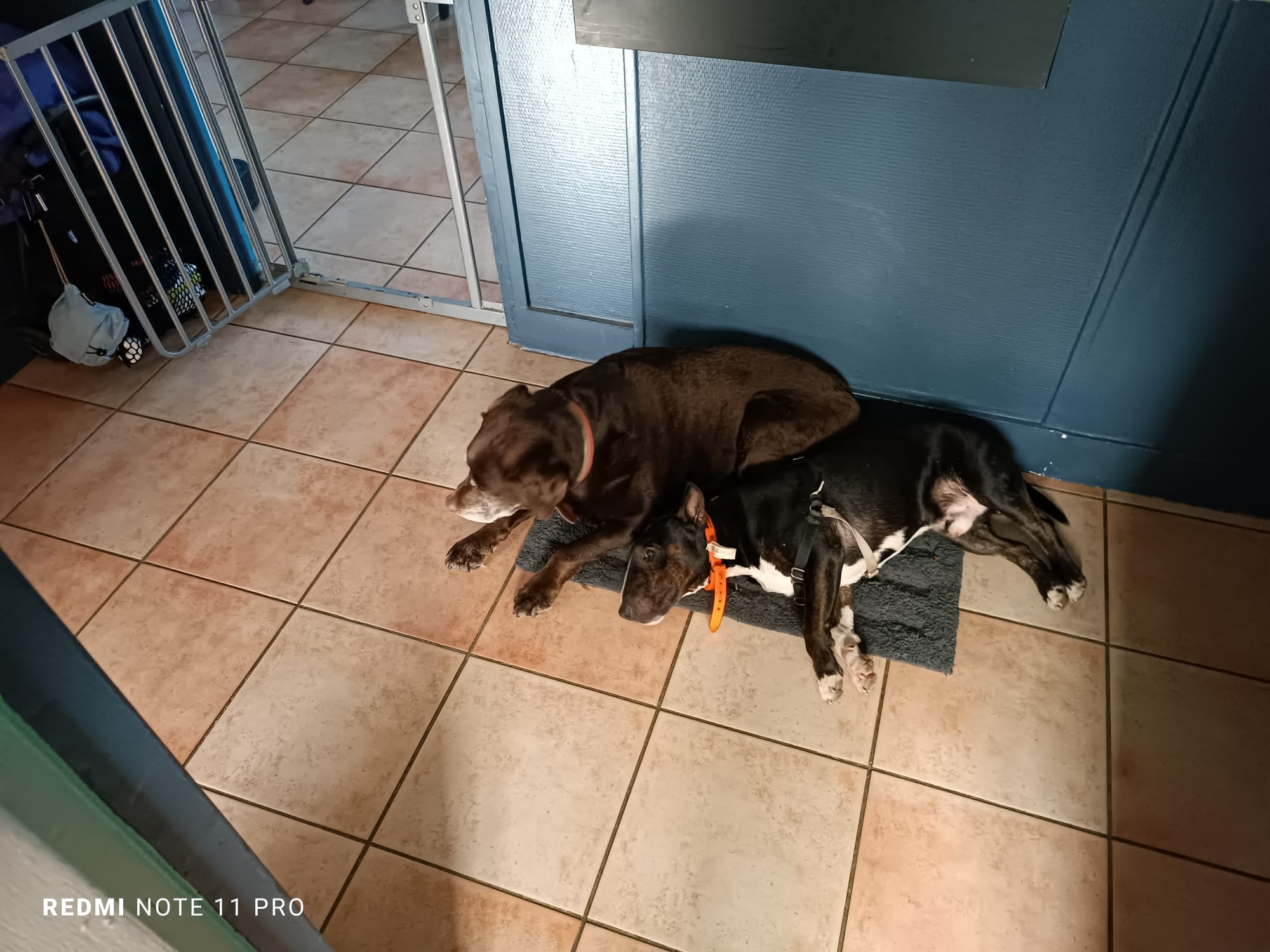 les Truffes Humides — photo