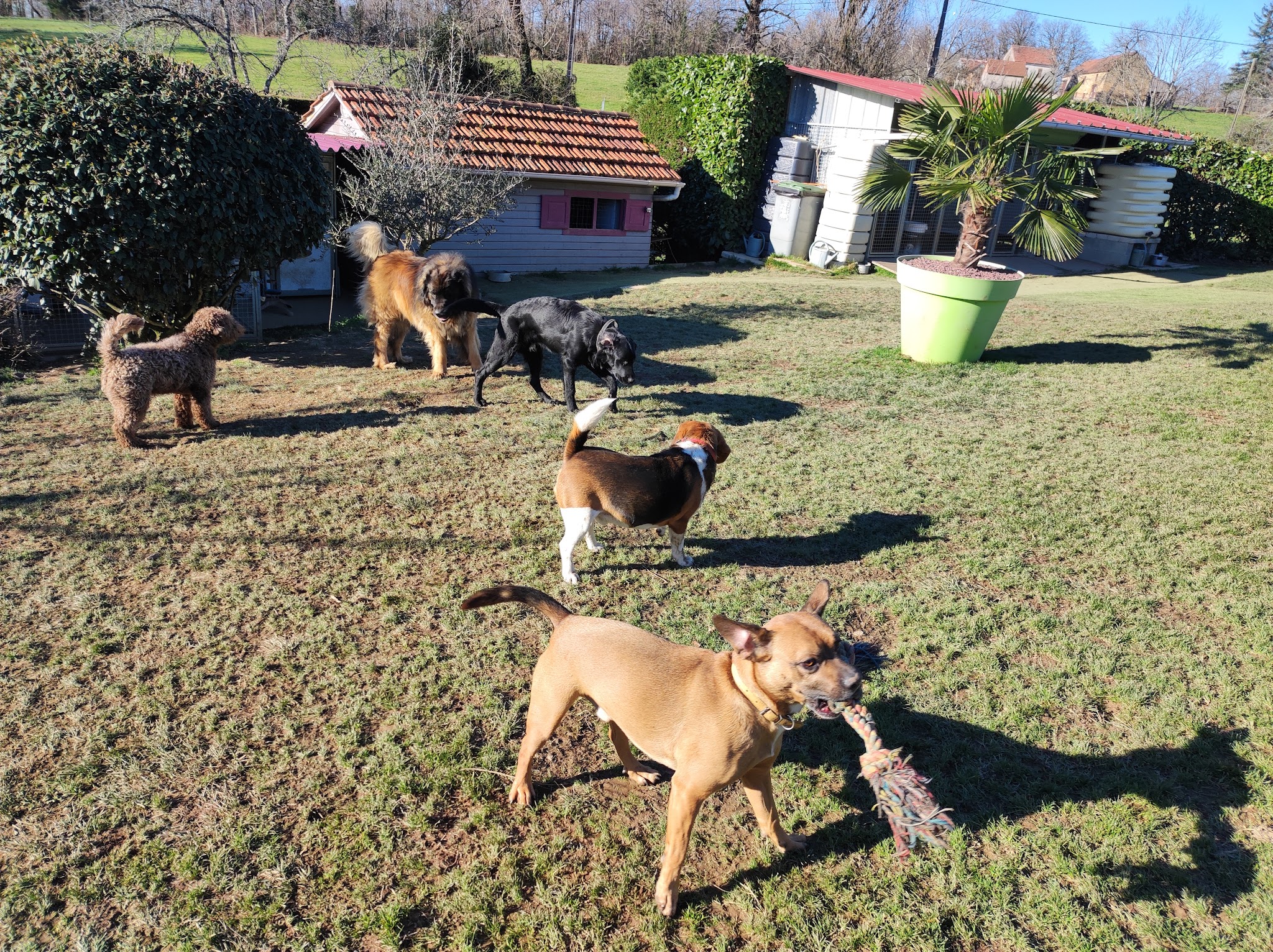 Pension Canine & Féline Crackers — photo