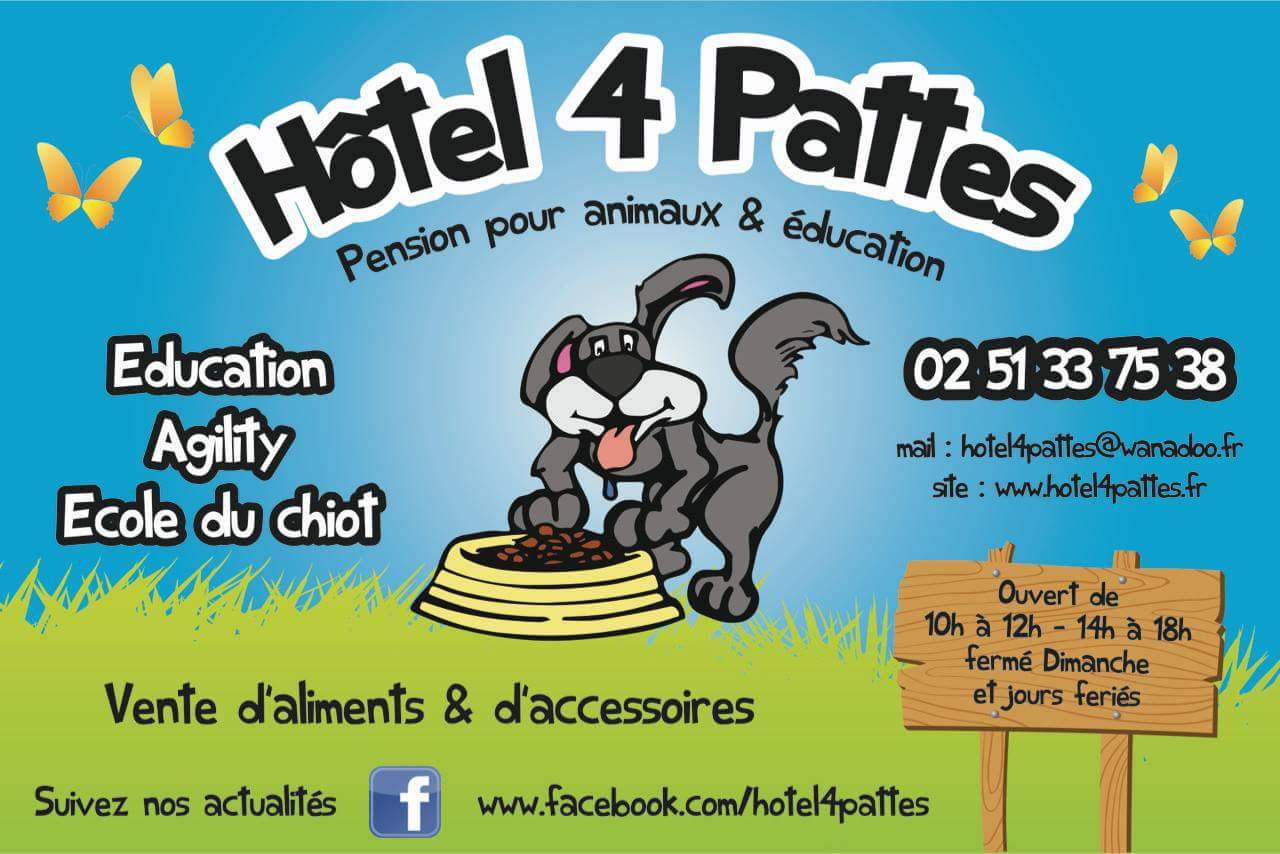 Hôtel 4 Pattes