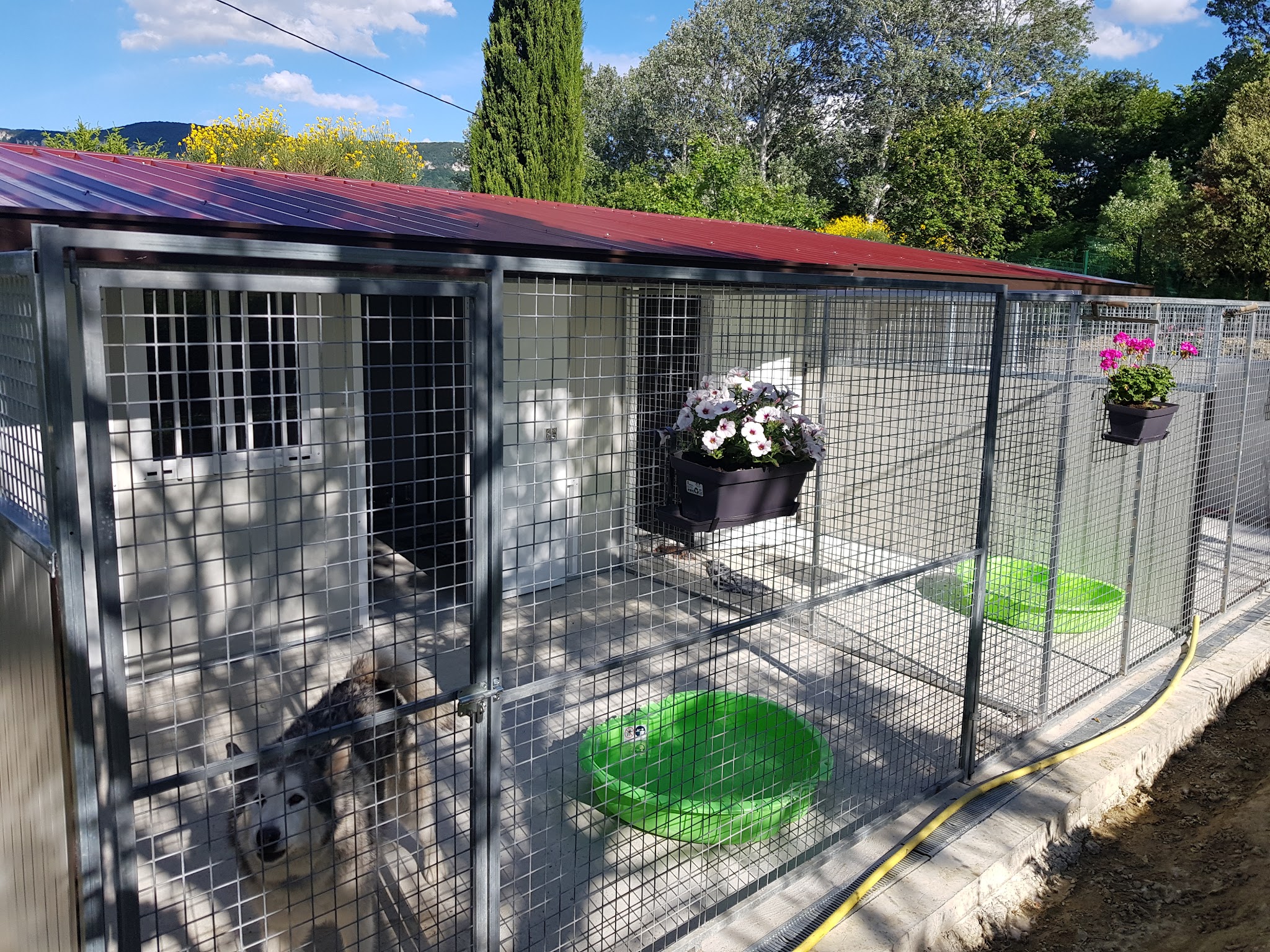 Gite canin La freydière