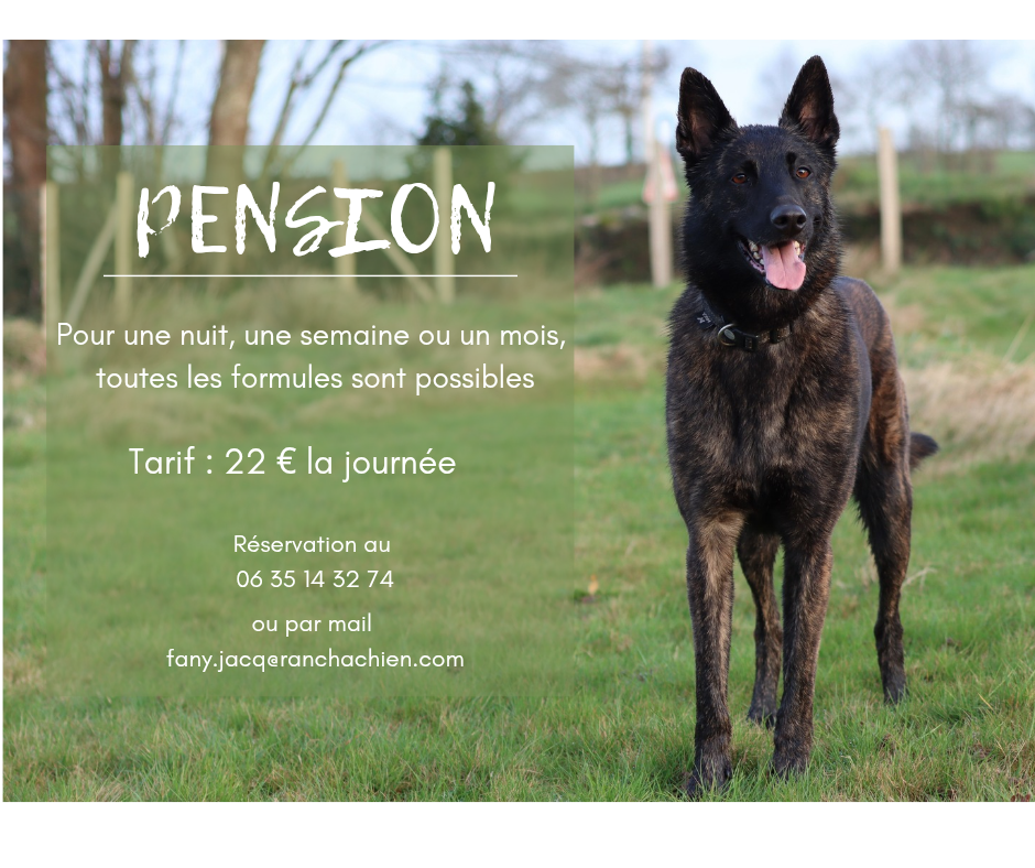 Ranchachien - pension canine — photo