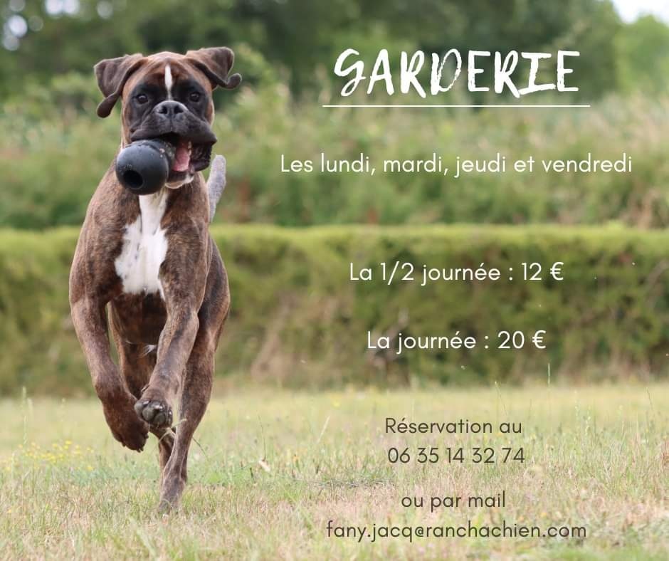 Ranchachien - pension canine — photo