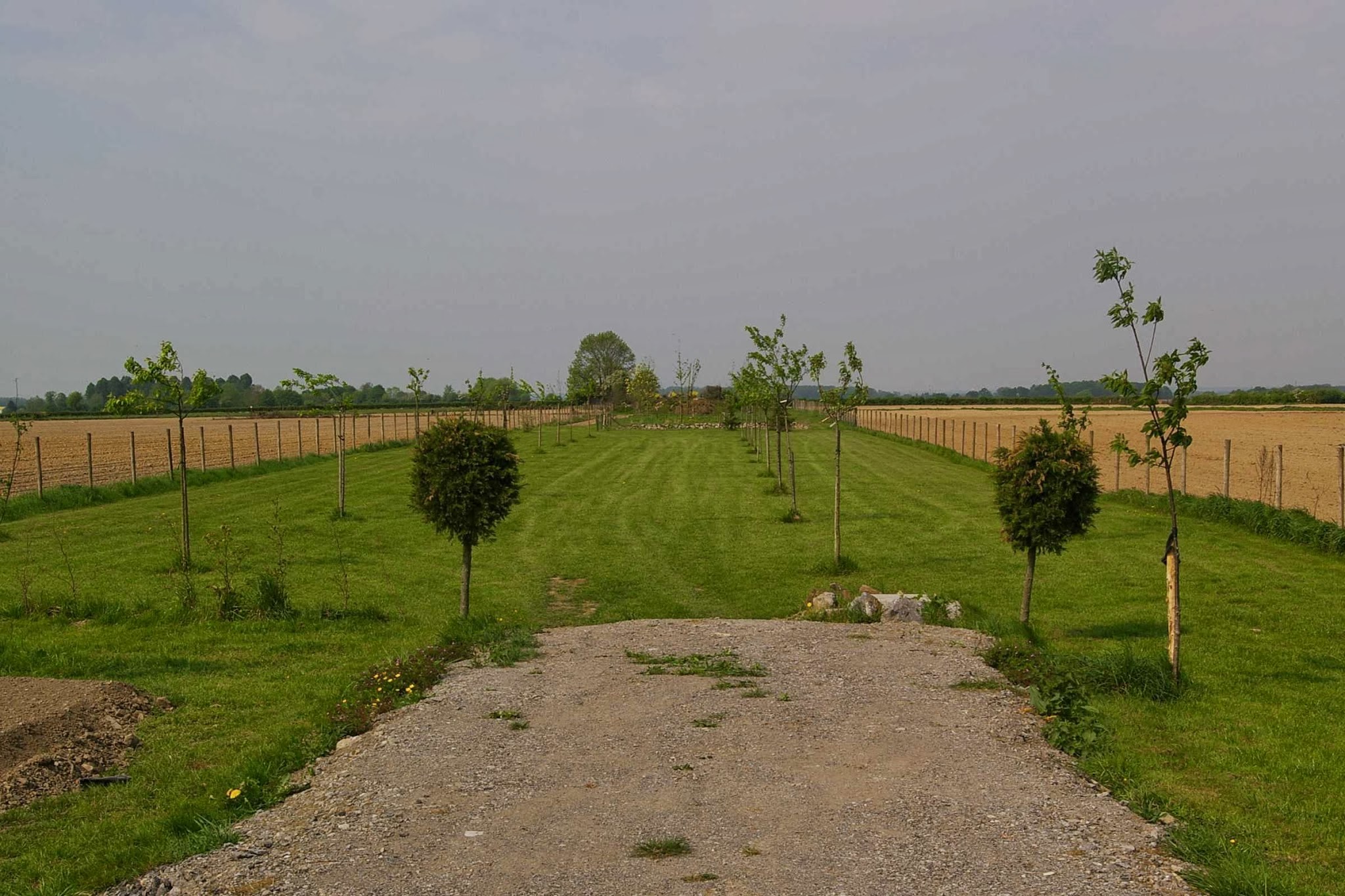 La Pension chiens chats du Val de Sambre — photo
