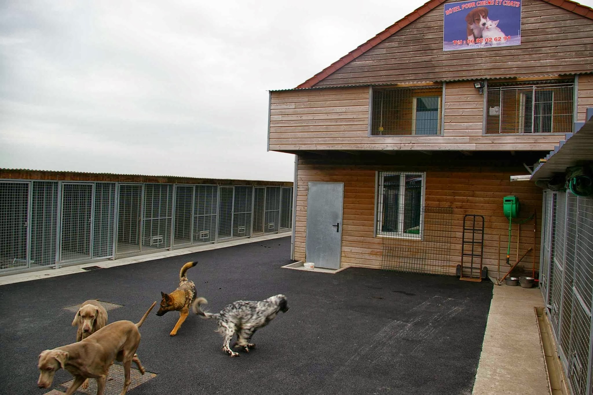 La Pension chiens chats du Val de Sambre