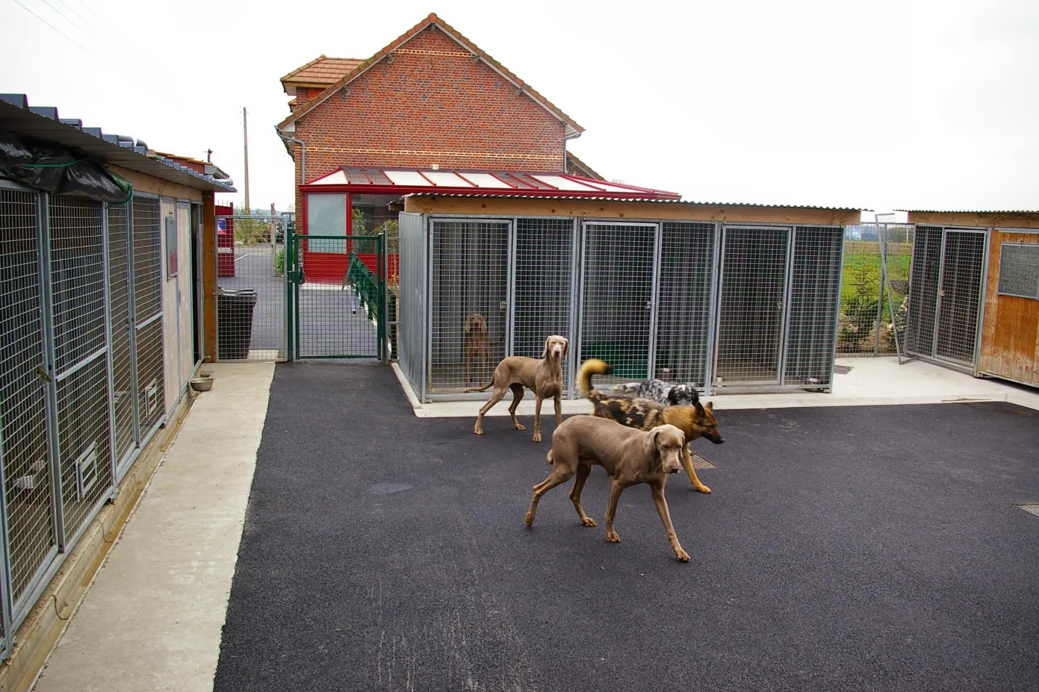 La Pension chiens chats du Val de Sambre — photo