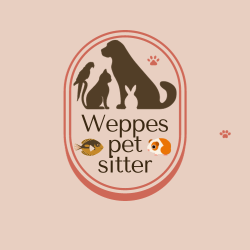 Weppes pet sitter — photo