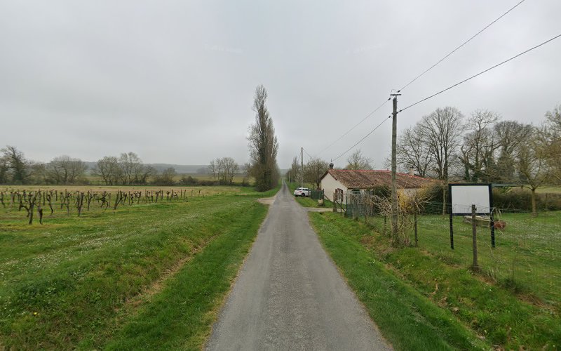 La brume au matin