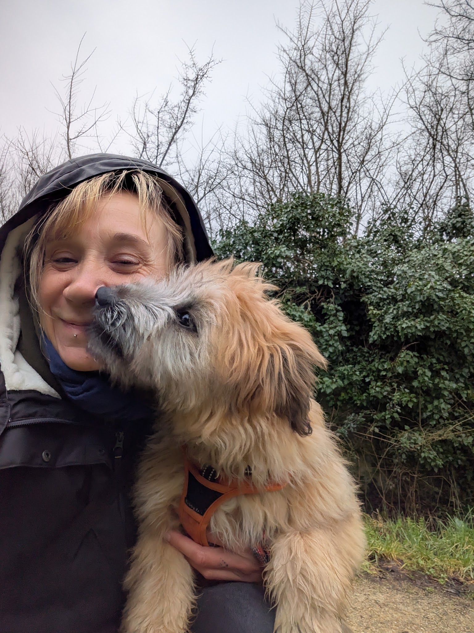 L'Arche de Retz Petsitter — photo