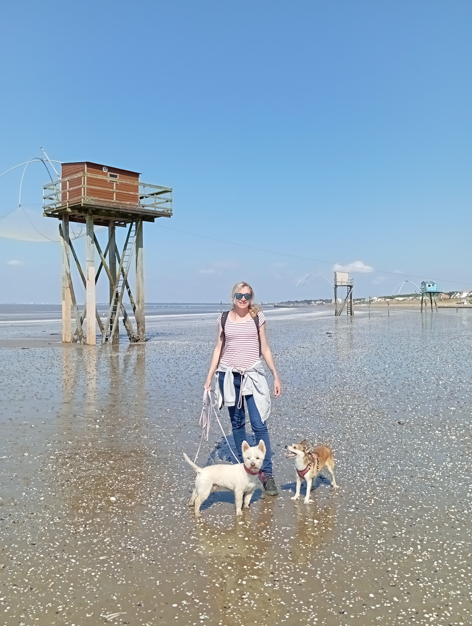 L'Arche de Retz Petsitter — photo
