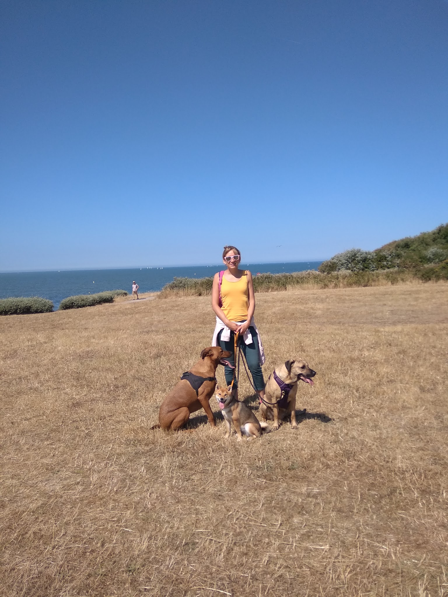 L'Arche de Retz Petsitter