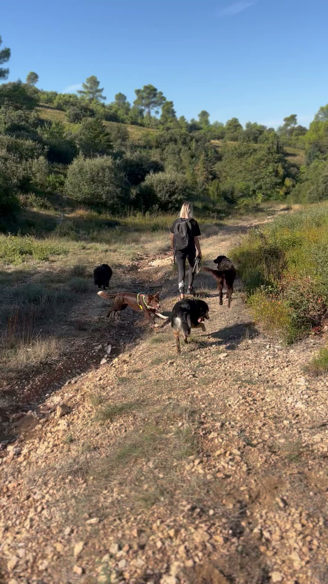 Naïa & Co - Pet sitting — photo
