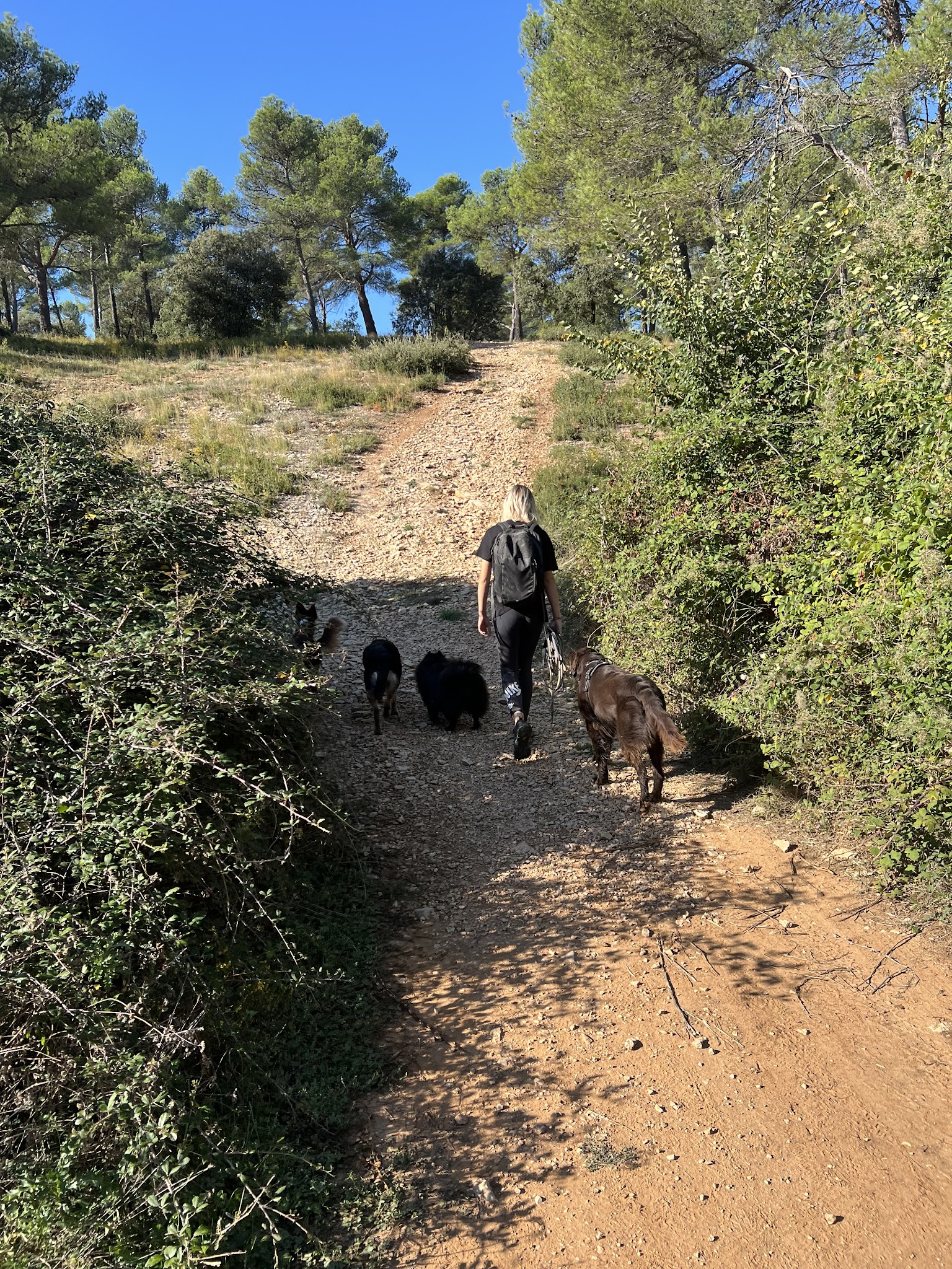 Naïa & Co - Pet sitting — photo