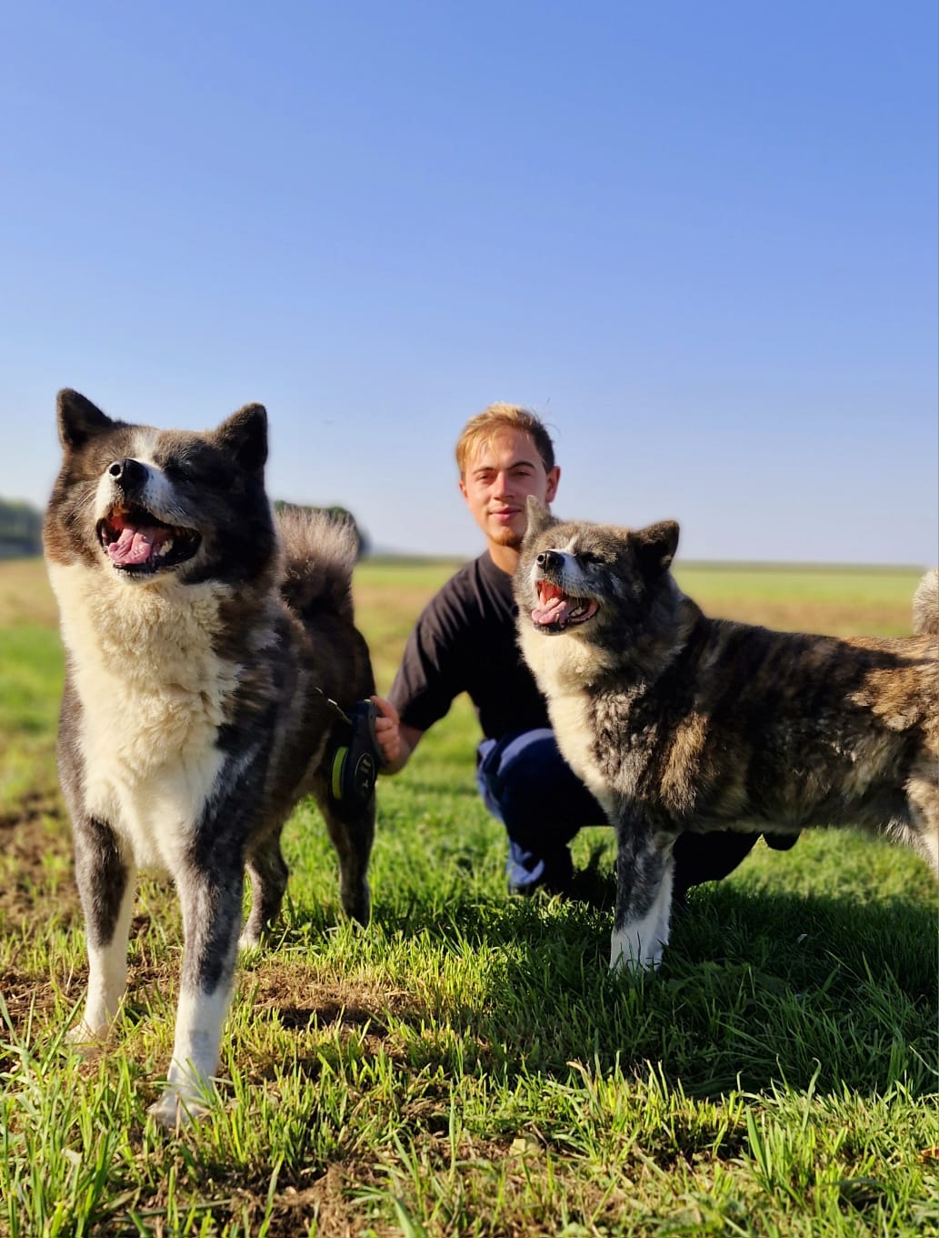 PASSION CANINE - LES 3S — photo