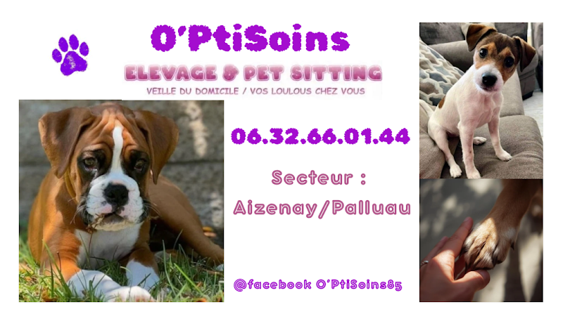 O’ PtiSoins