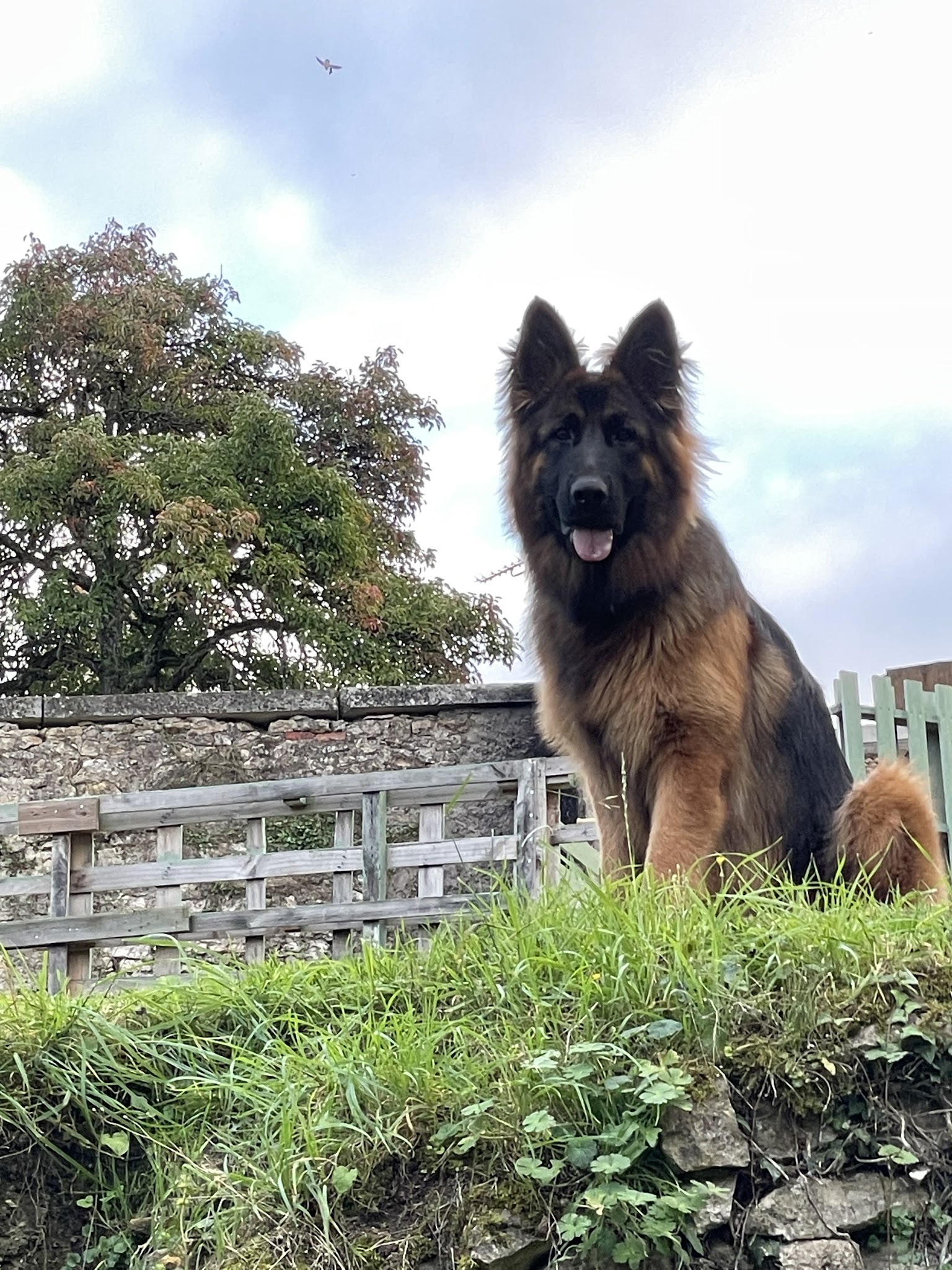 Domaine de loumeo — photo