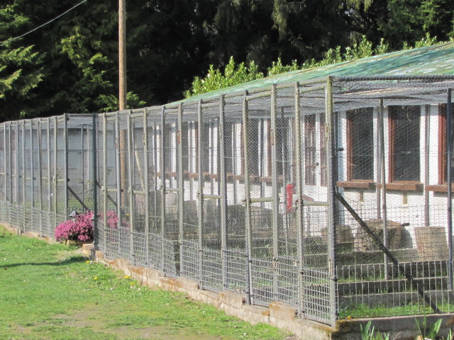 La pension AA6 — photo