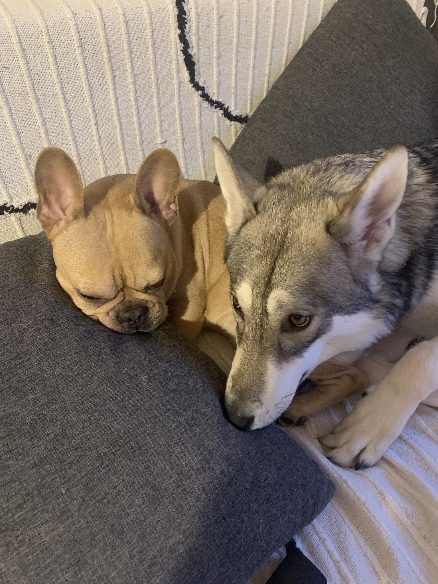 BBsitting — photo