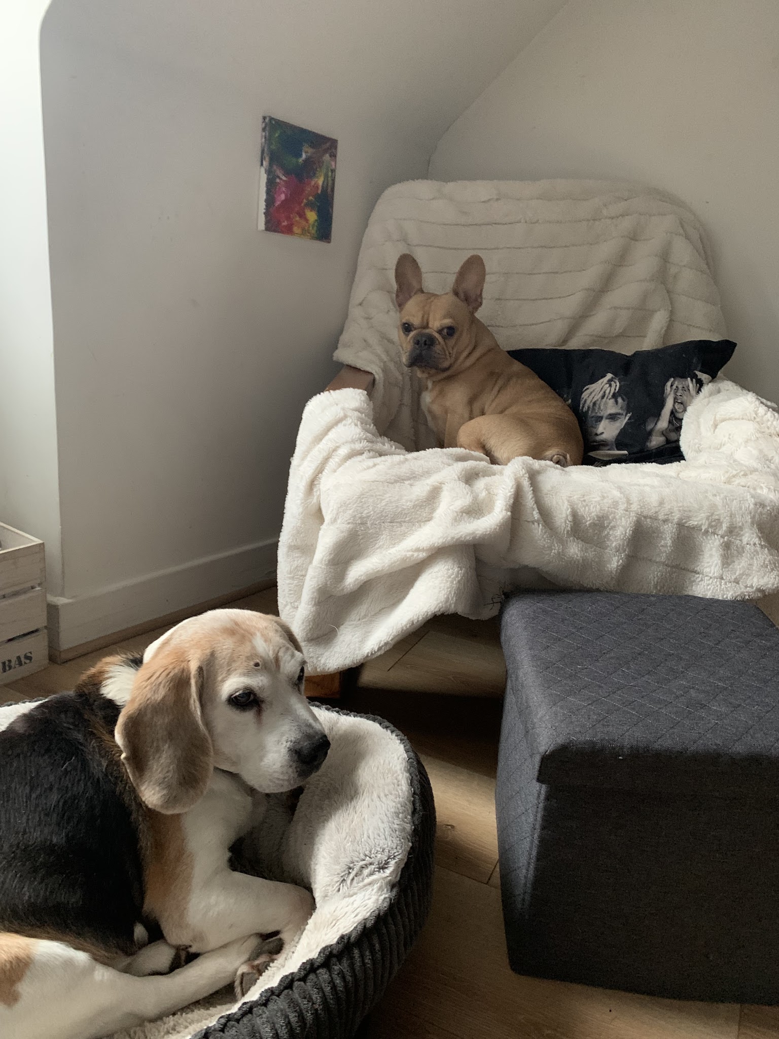 BBsitting — photo