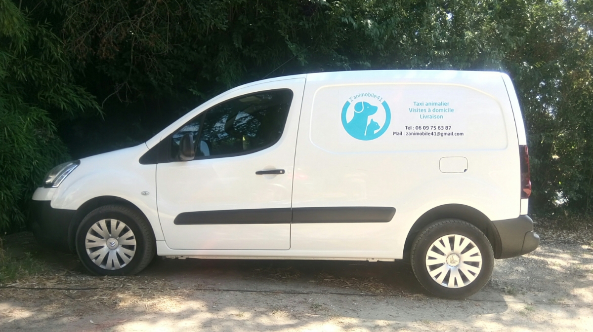 Z'animobile41 — photo