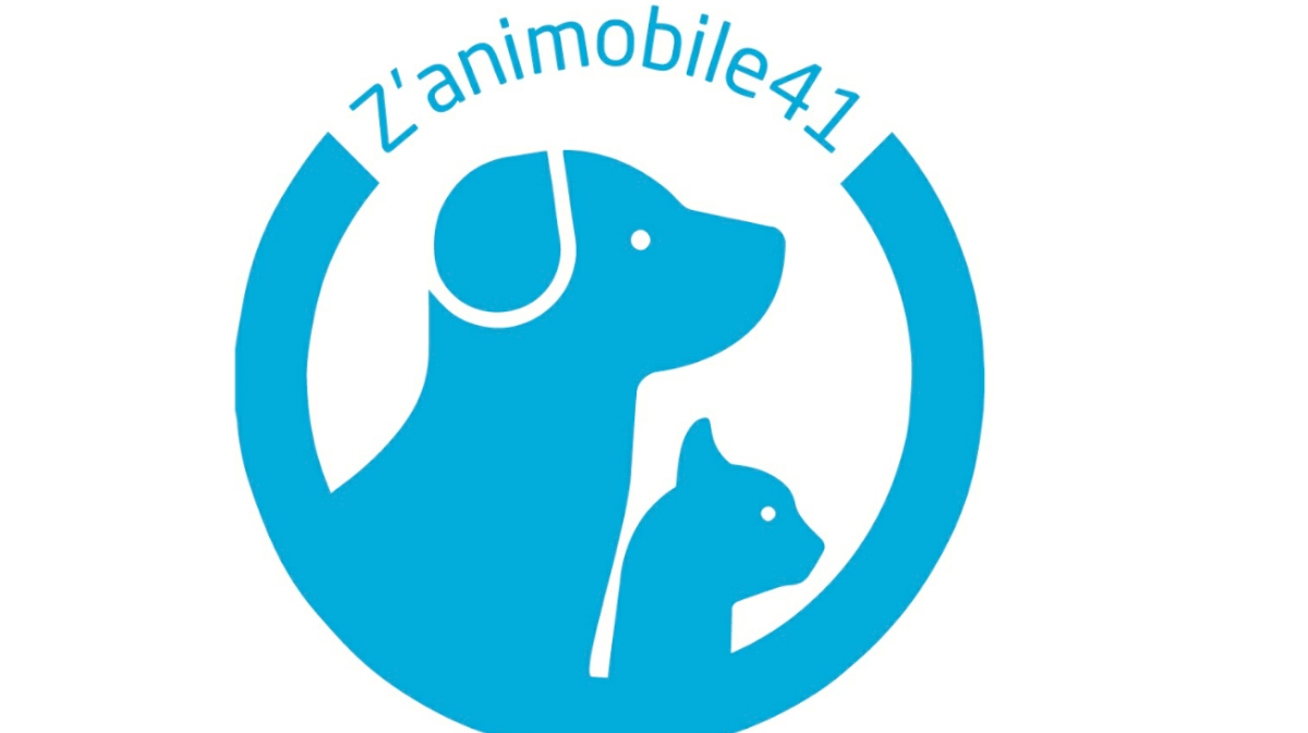Z'animobile41 — photo