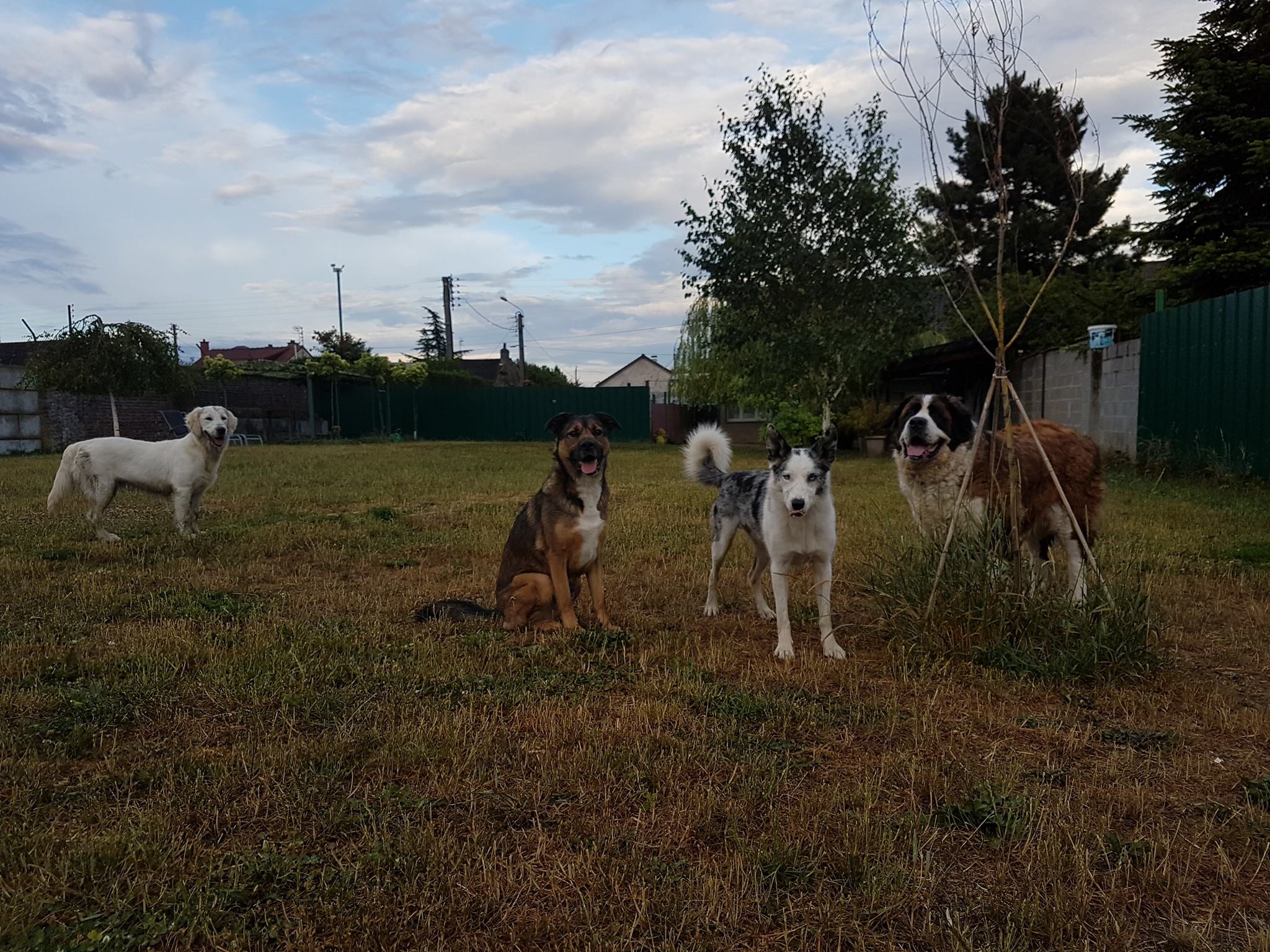 La Tribu de Mama — photo