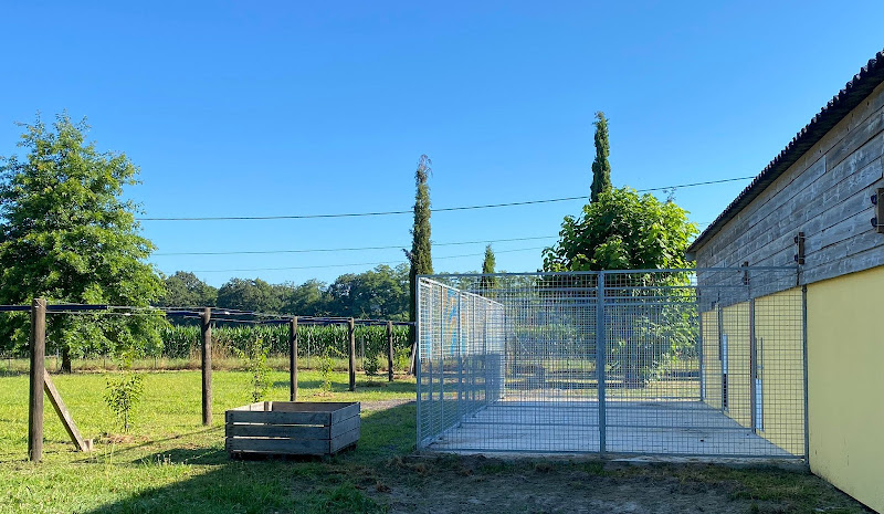 Pension canine de la Cuadrilla