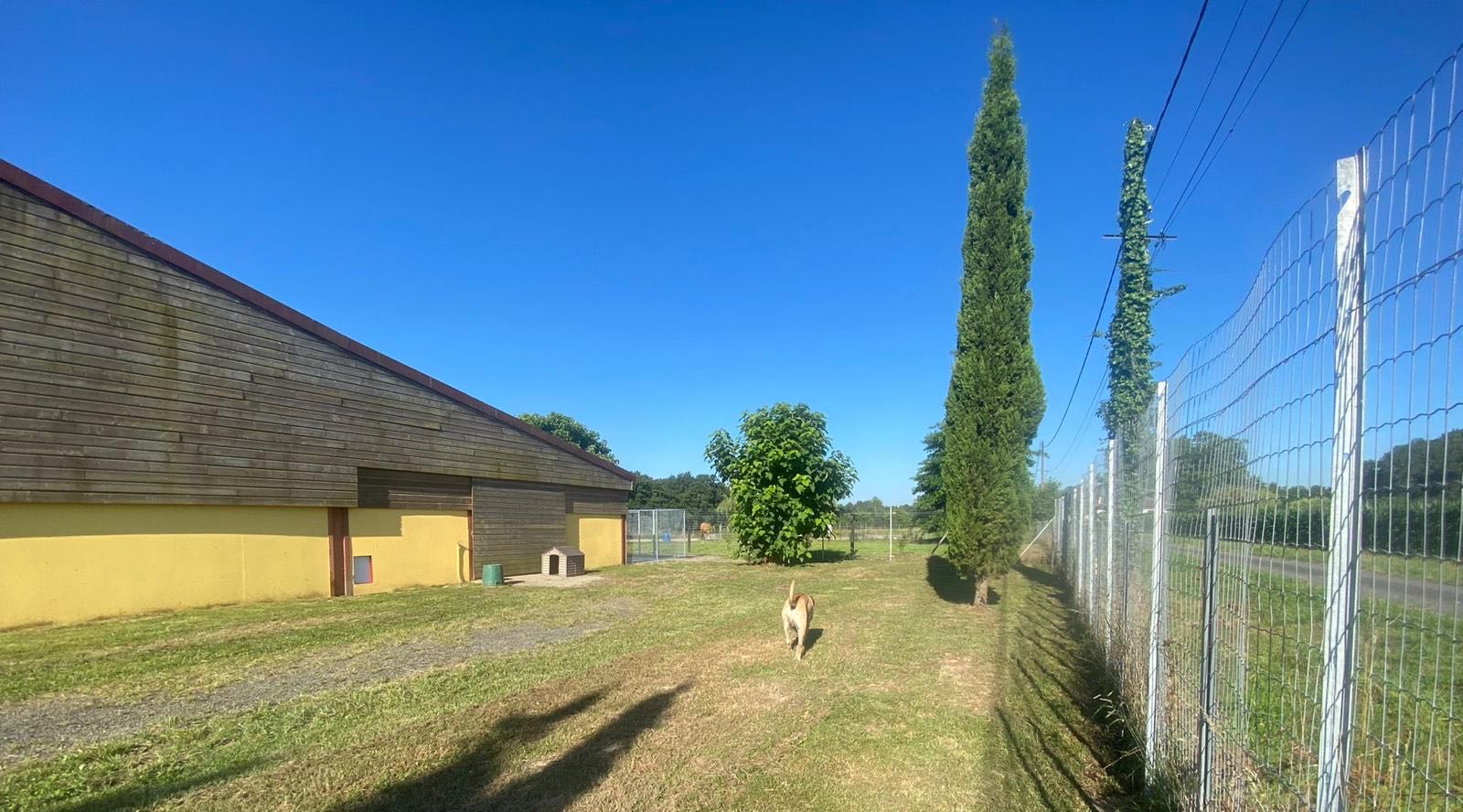 Pension canine de la Cuadrilla — photo