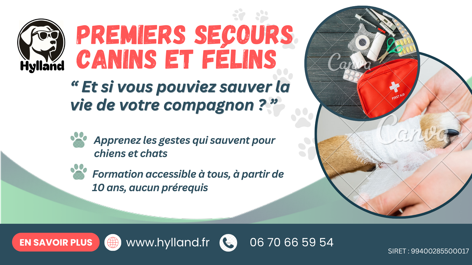 HYLLAND | Éducateur Canin • Formation • Pension — photo