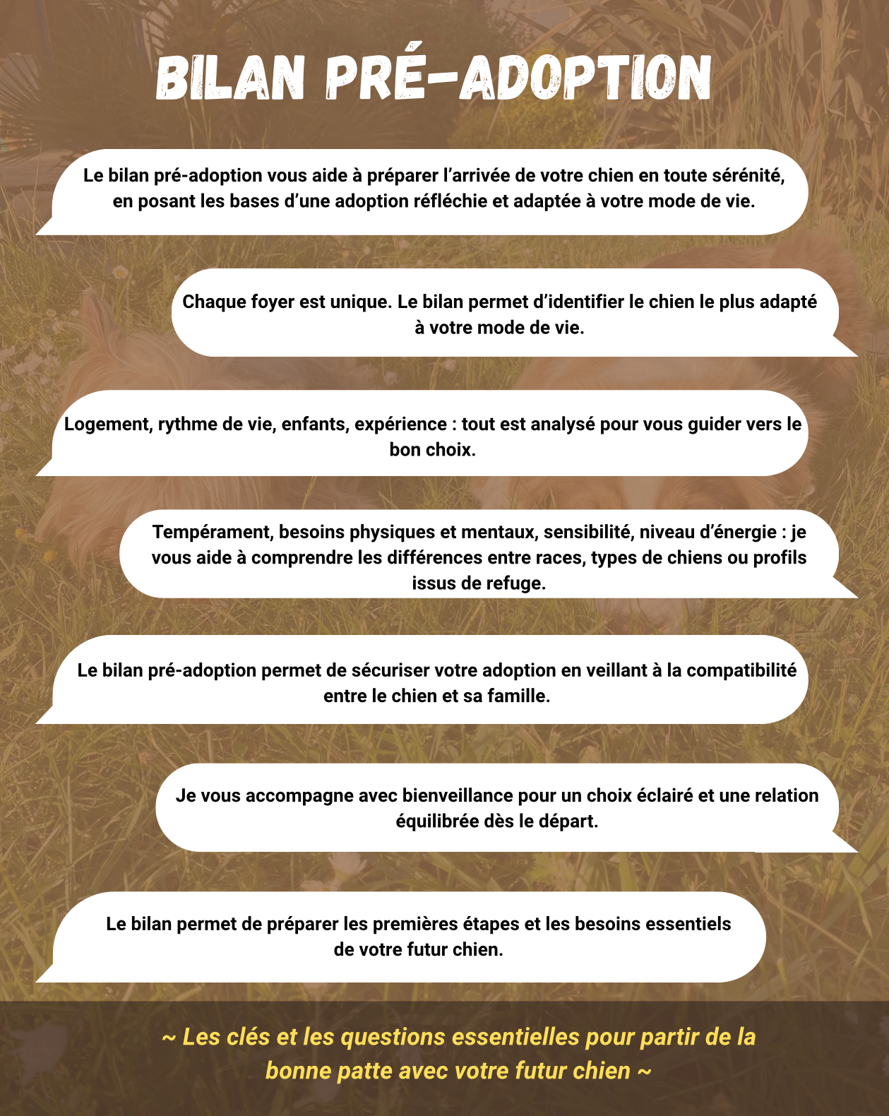 La Contrée Des Pattes Au Vent — photo