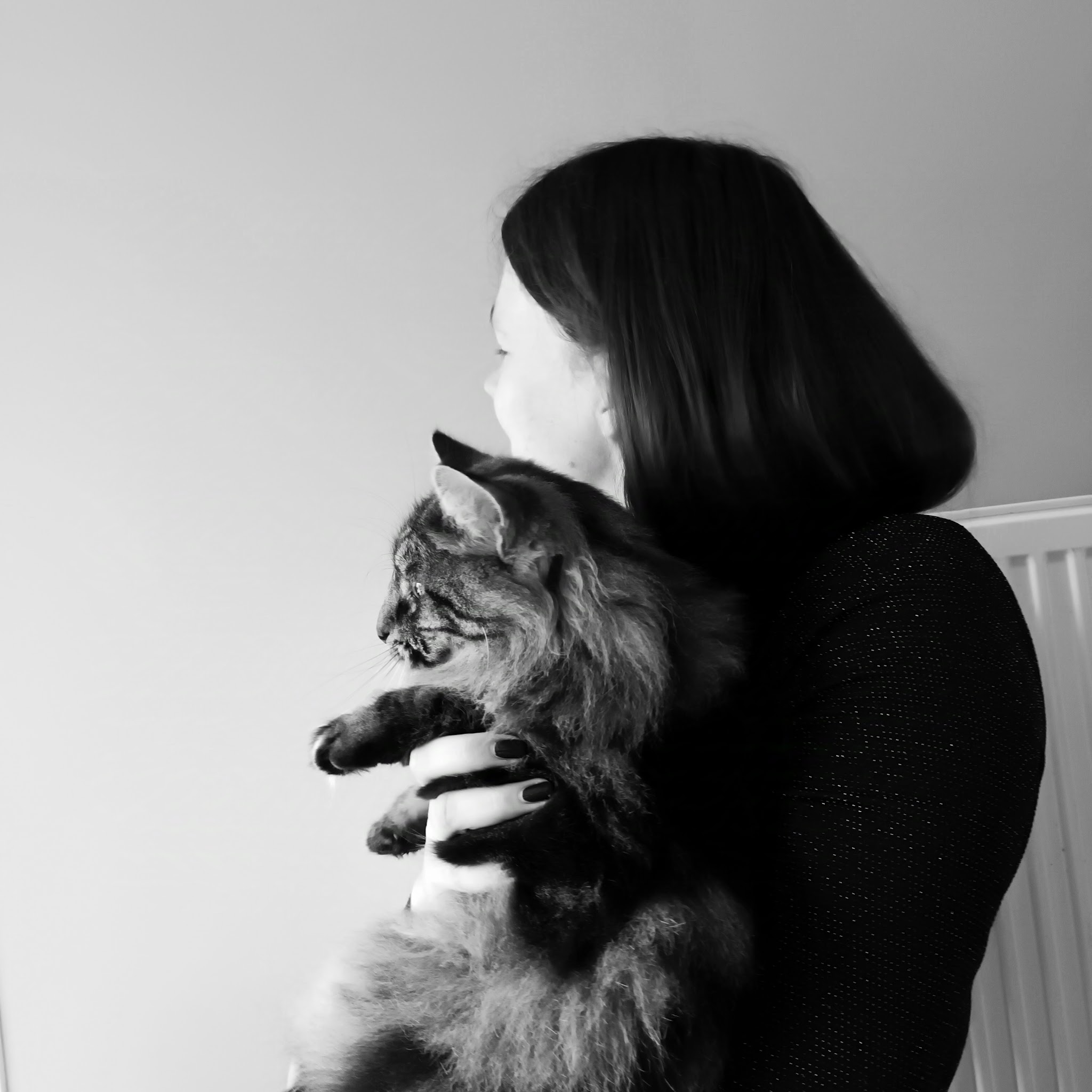 Sous la patte de Mama, petsitter chat-chien: Haubourdin, Lille et 8 km alentours — photo