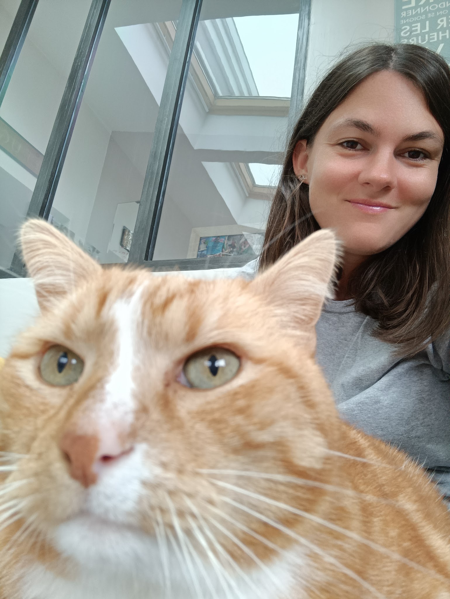 Sous la patte de Mama, petsitter chat-chien: Haubourdin, Lille et 8 km alentours — photo