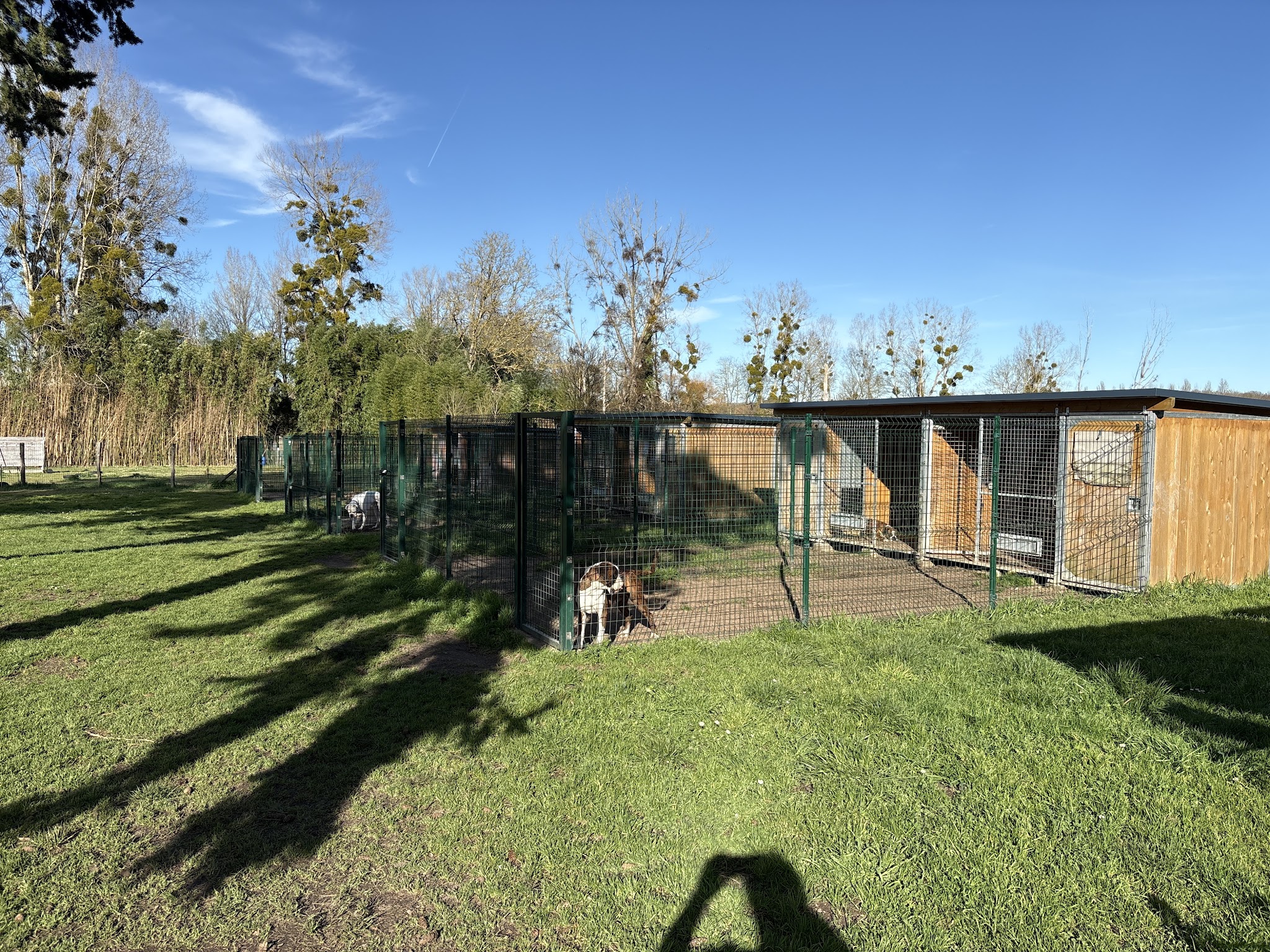 Pension Canine Animo-Services — photo