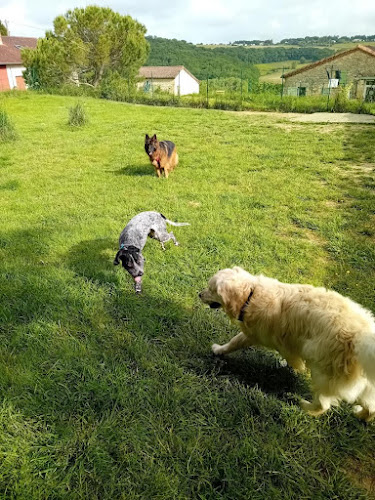 La Pension de Lola