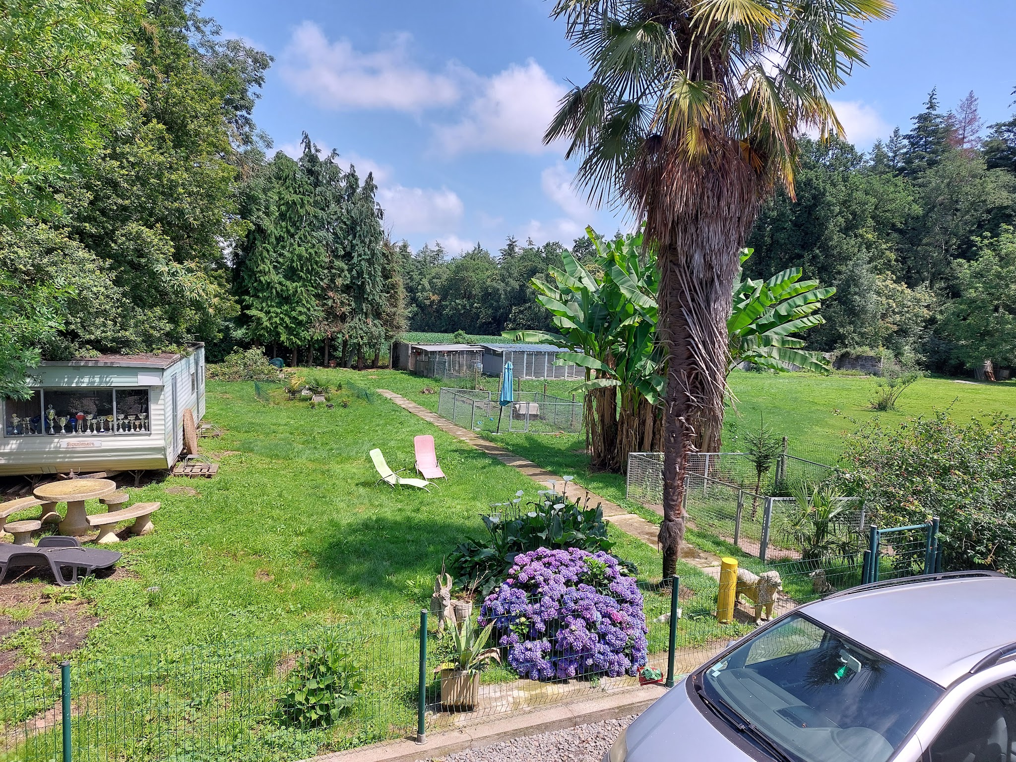 ELEVAGE PENSION CANINE DE KARYSHA — photo