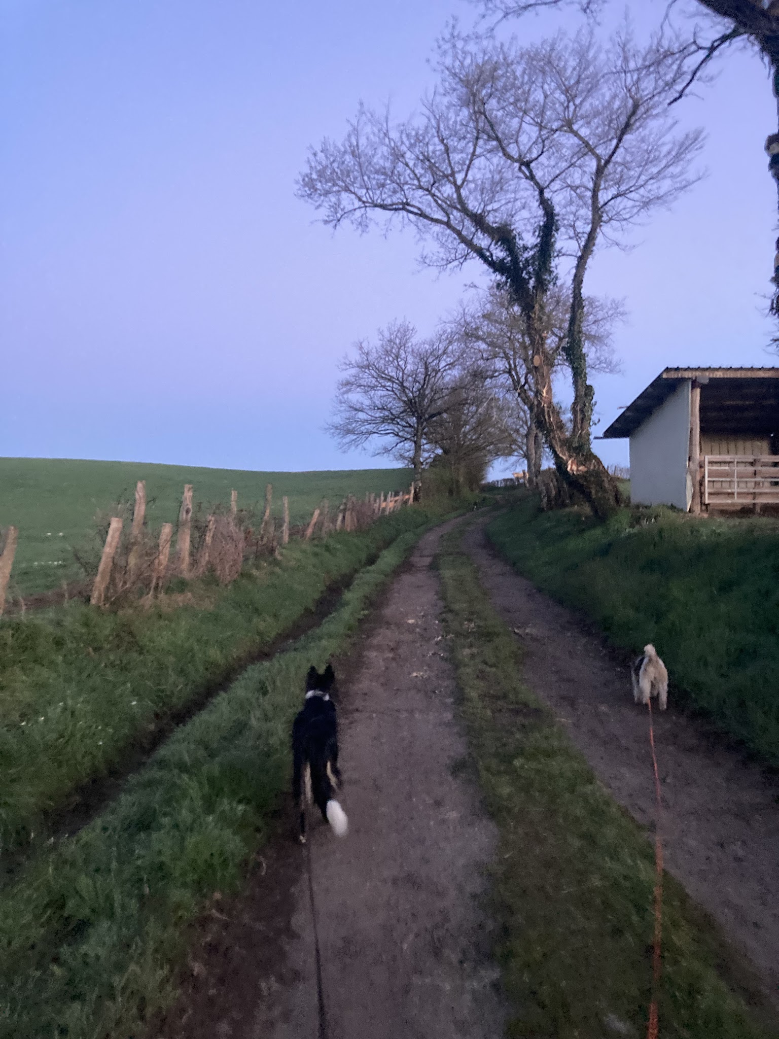 Flair Plaisir Pension Canine — photo