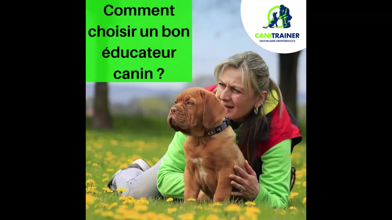 Canitrainer38 Pension canine & Nutrition chien — photo