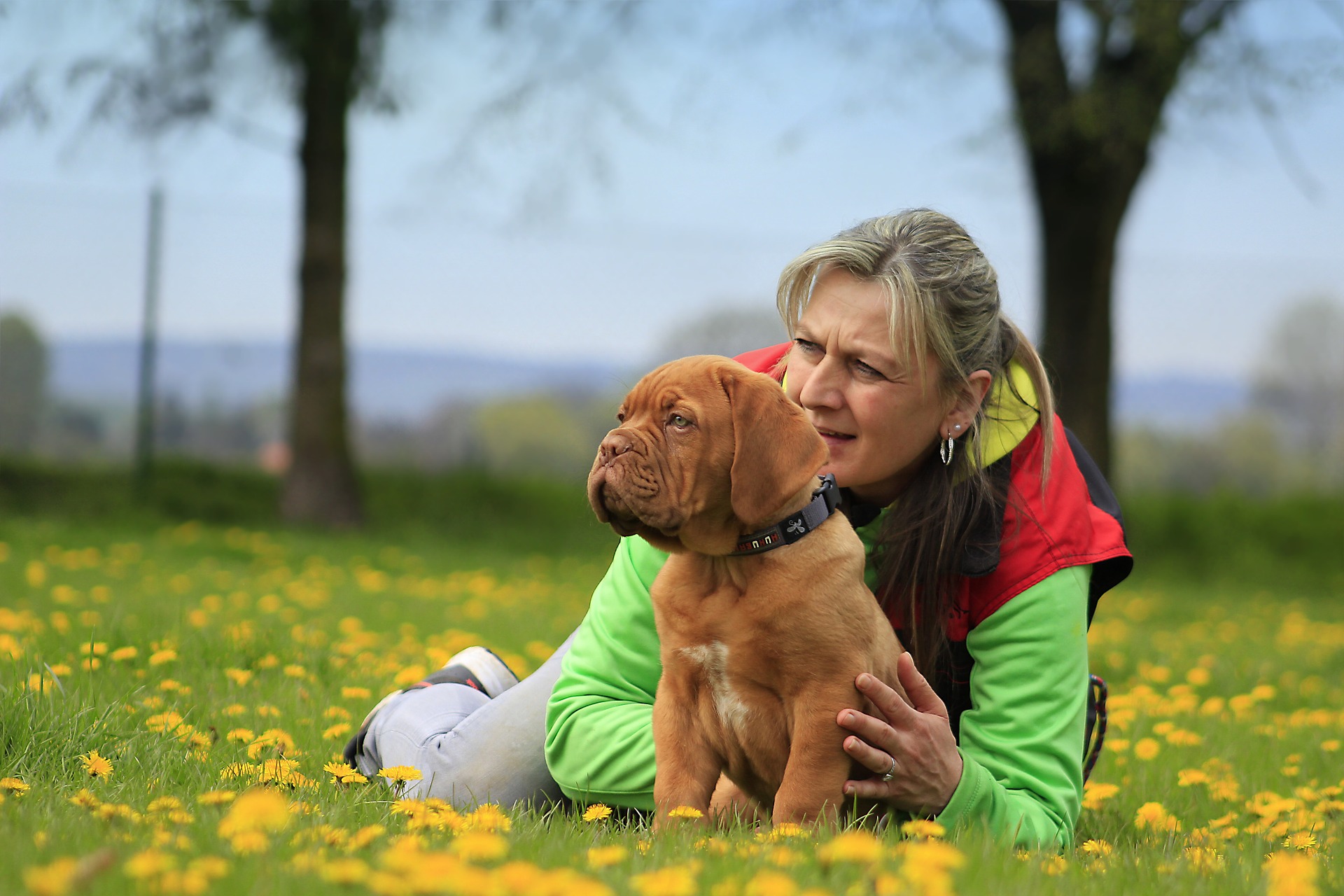 Canitrainer38 Pension canine & Nutrition chien — photo