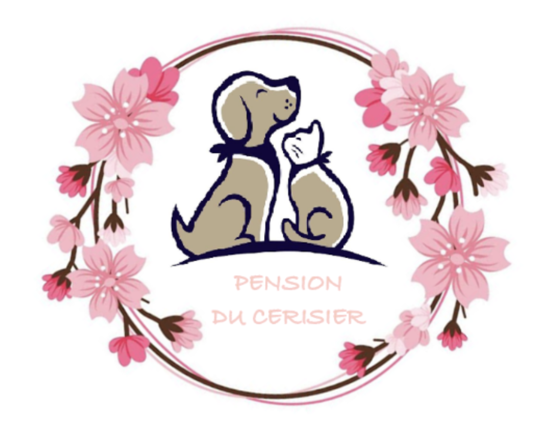 Pension du cerisier / TARDY Emmanuelle — photo