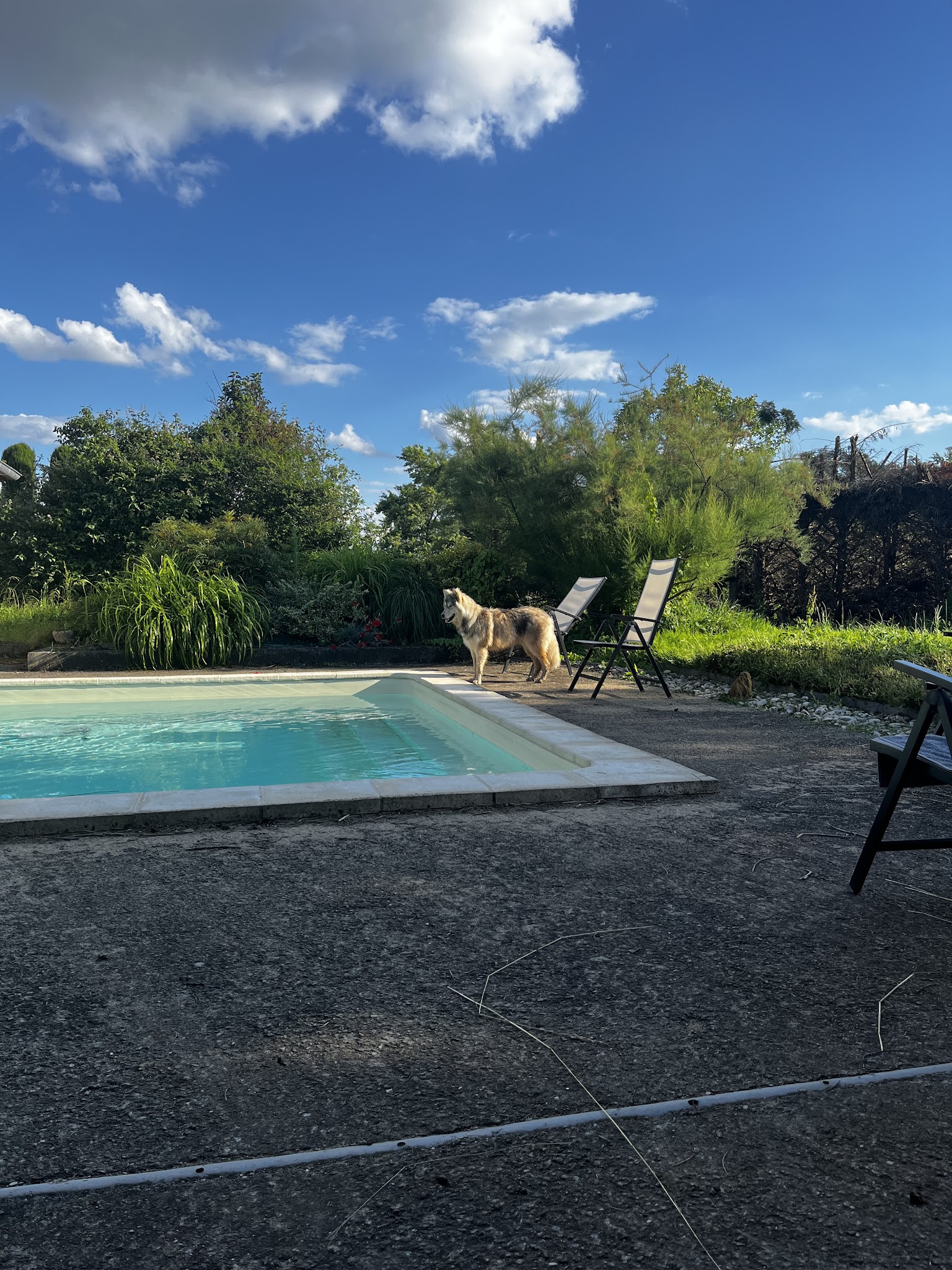 La Pension de l'Olivier — photo