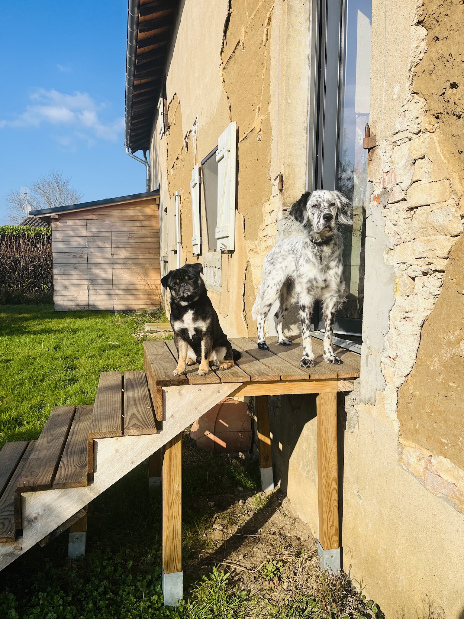 La Pension de l'Olivier — photo