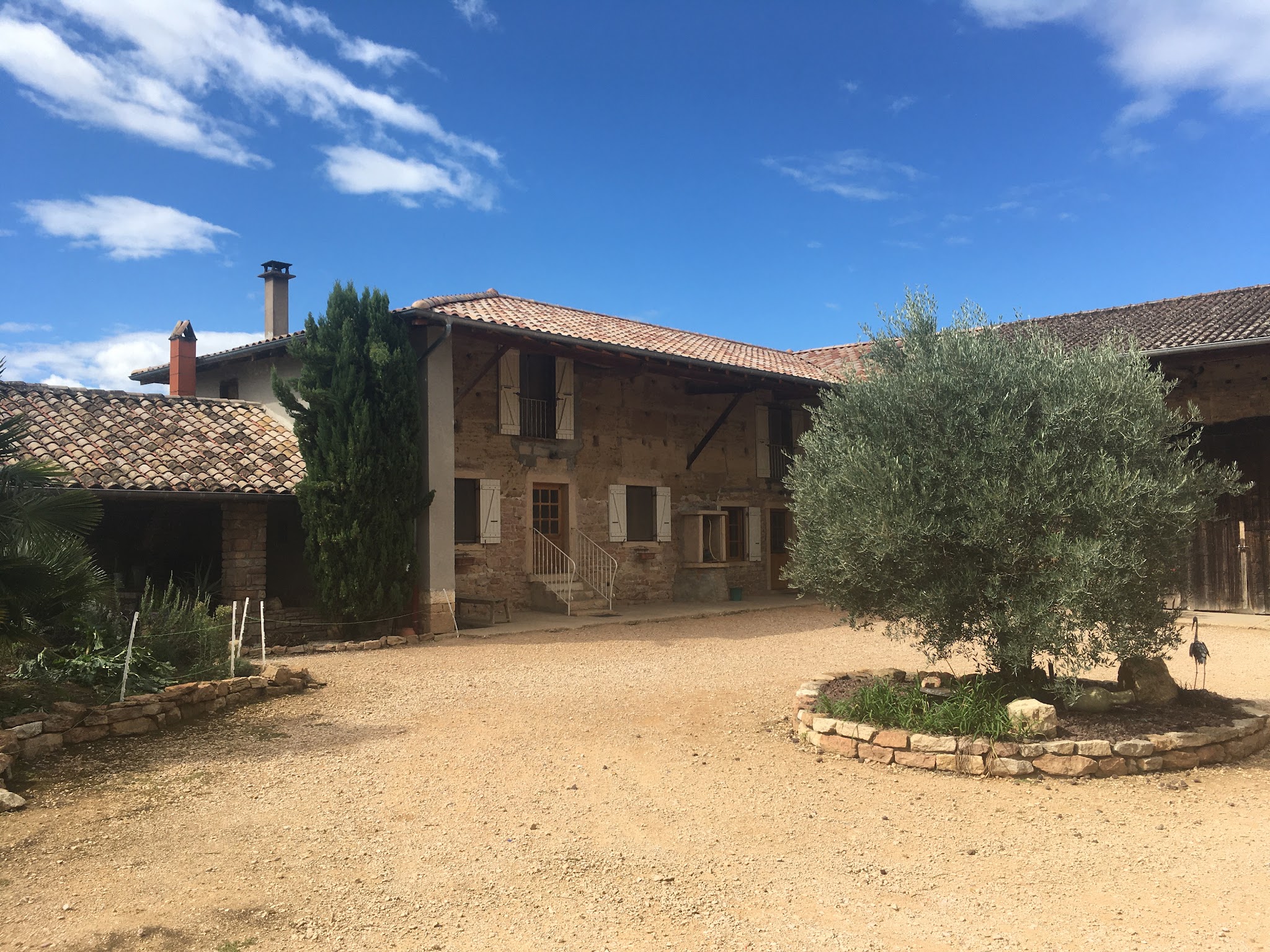 La Pension de l'Olivier — photo