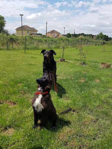 Centre canin et pension féline du Bois du Saüt