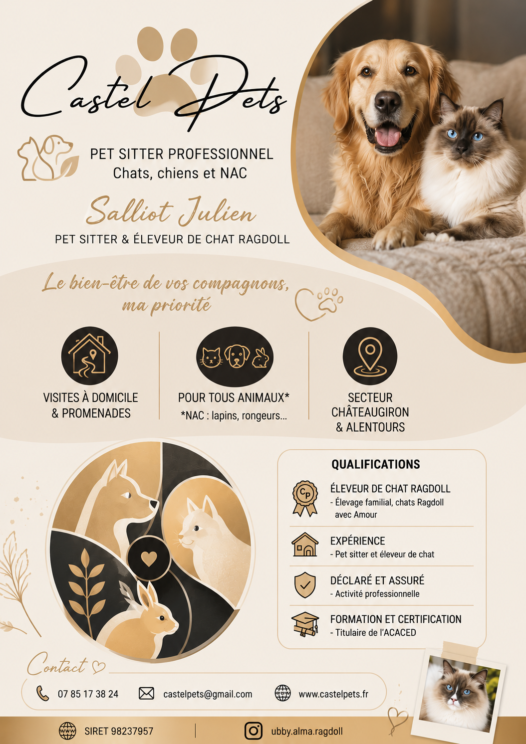 Castel Pets | Pet sitter | Garde d'animaux à domicile l Chats Chiens Nac l Ragdoll De Castel Breizh | Chateaugiron — photo