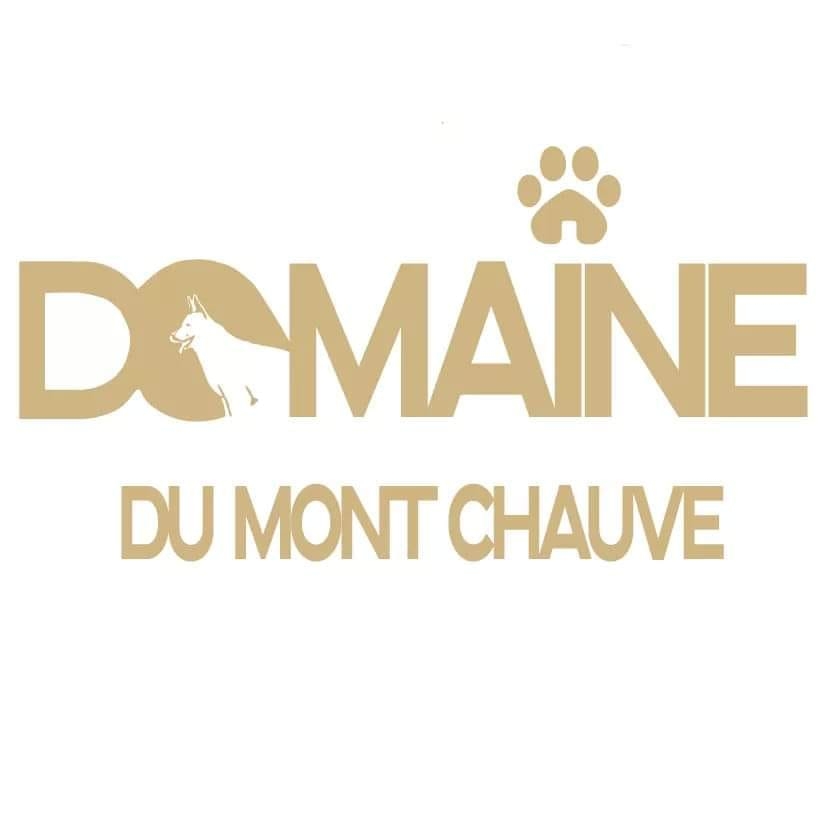 Elevage du Domaine du Mont Chauve — photo
