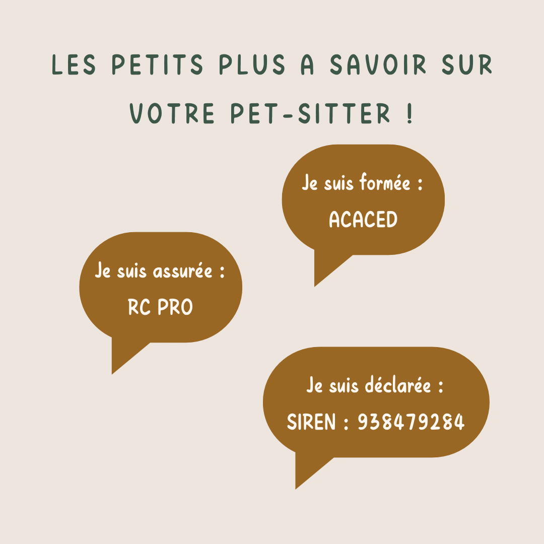Tata Malo, sourires et Câlins Pet-sitter — photo