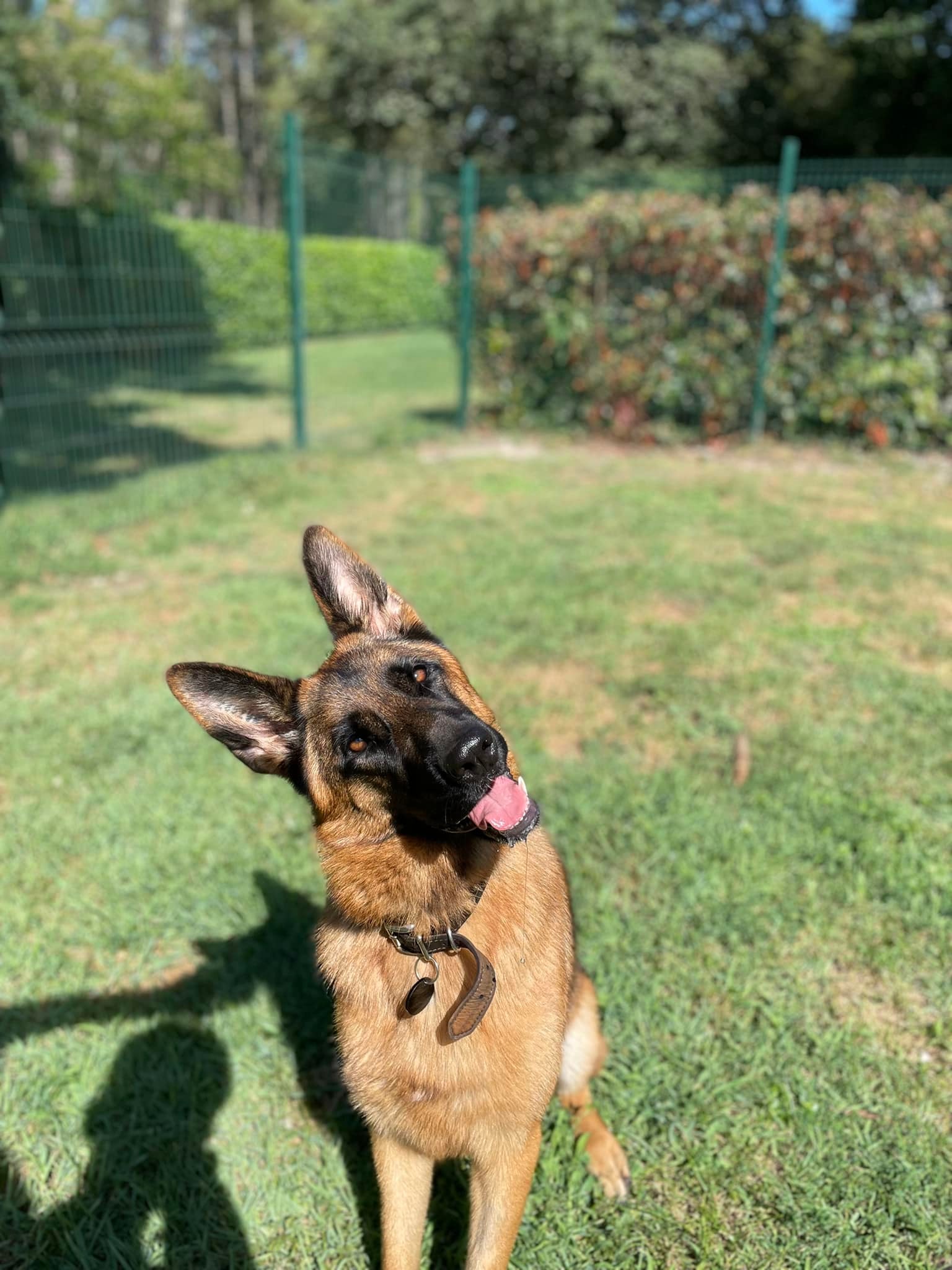 Pension Canine & Féline Escarrebousse — photo
