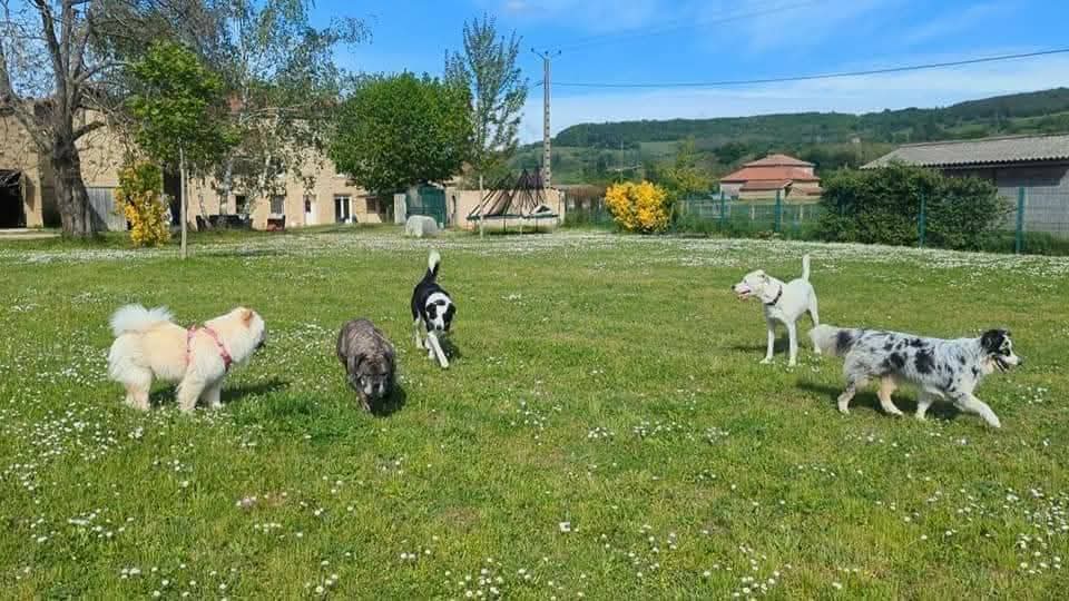 La Colo d'Alex