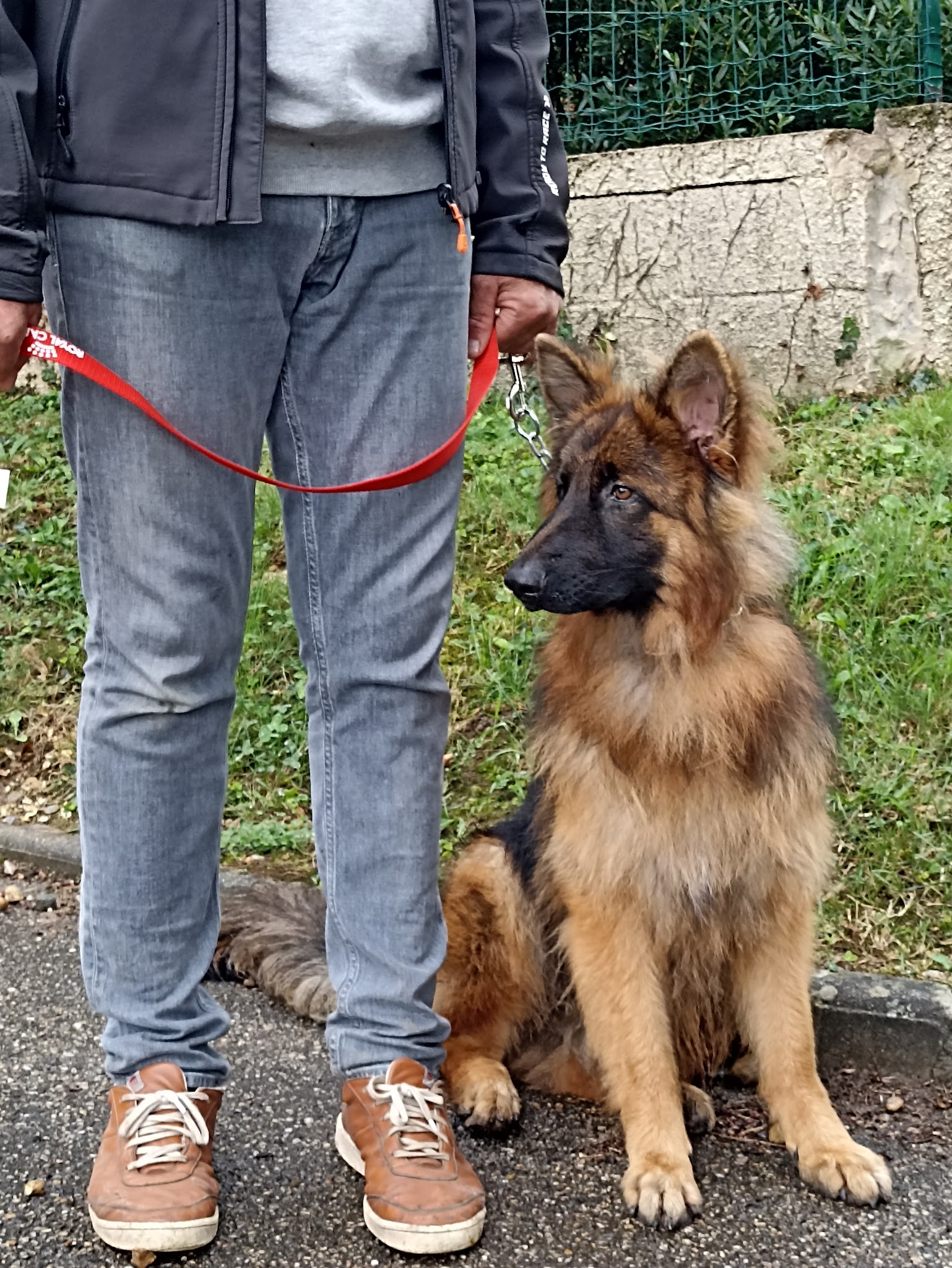 Elevage, pension et éducation canine Combe Delacquis — photo