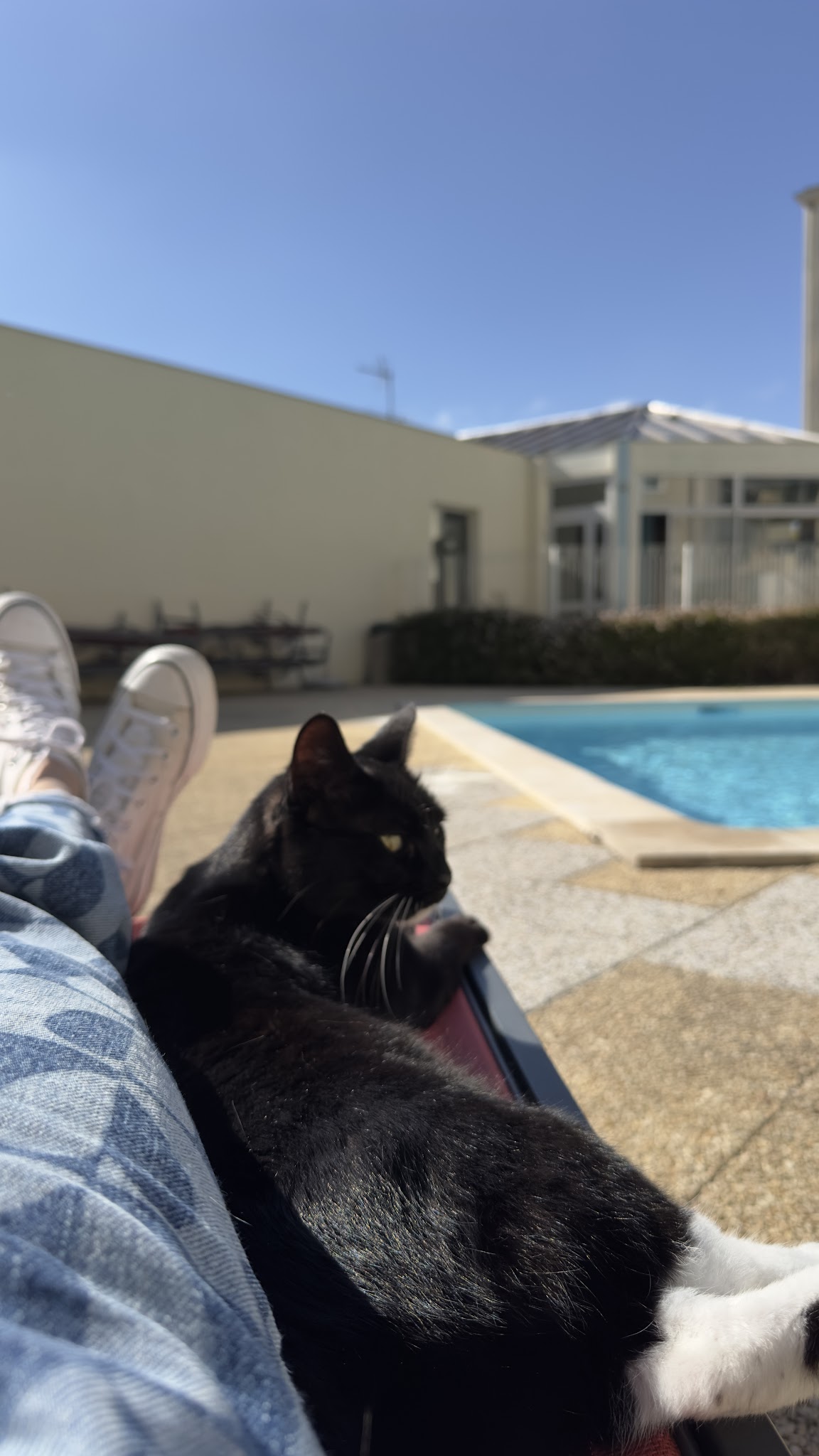 Mission Compagnie - Petsitter — photo